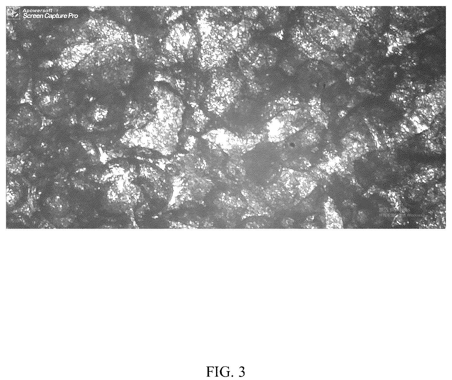 Patent US12102861 Figure 3 – Extinguishing material and preparation method thereof