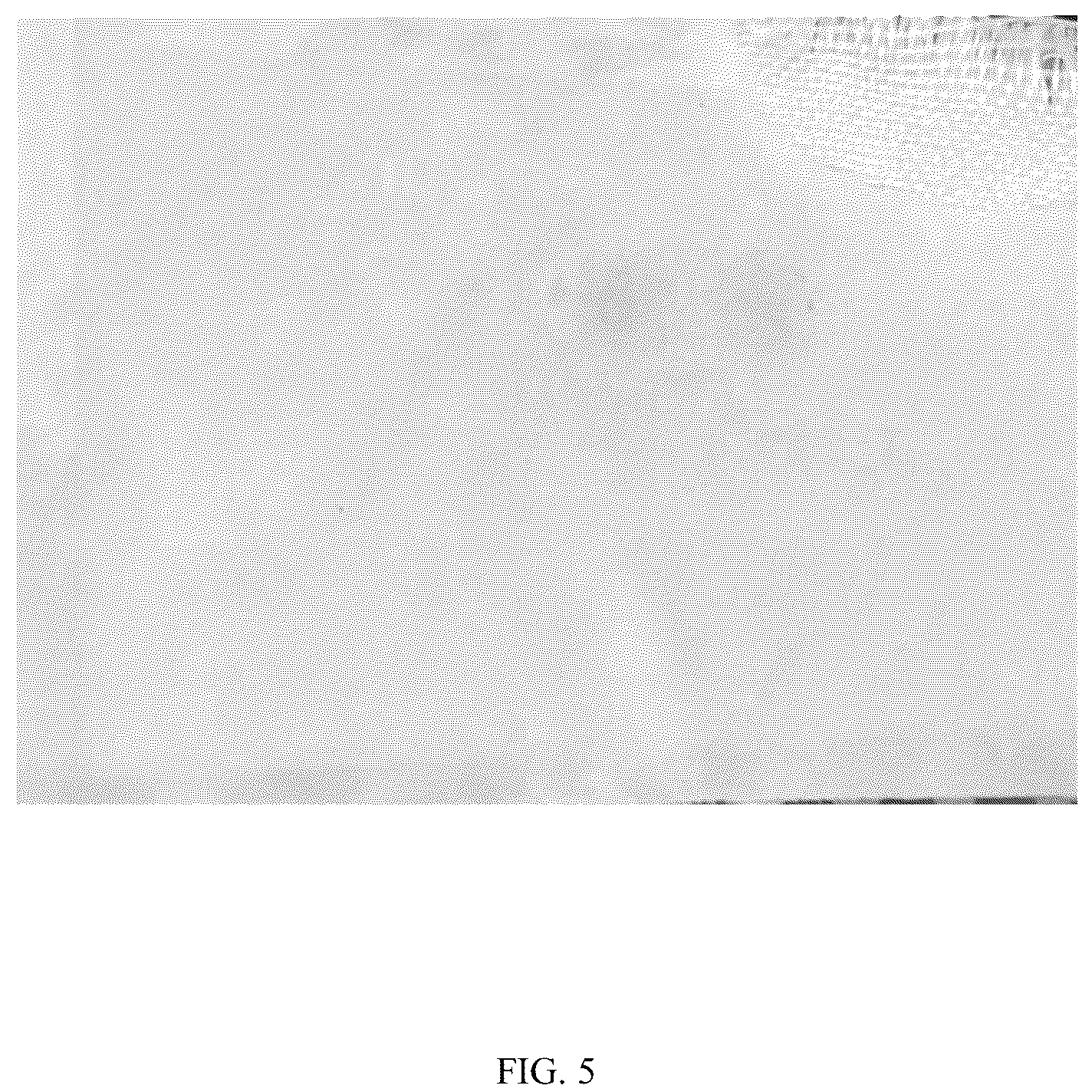 Patent US12102861 Figure 5 – Extinguishing material and preparation method thereof