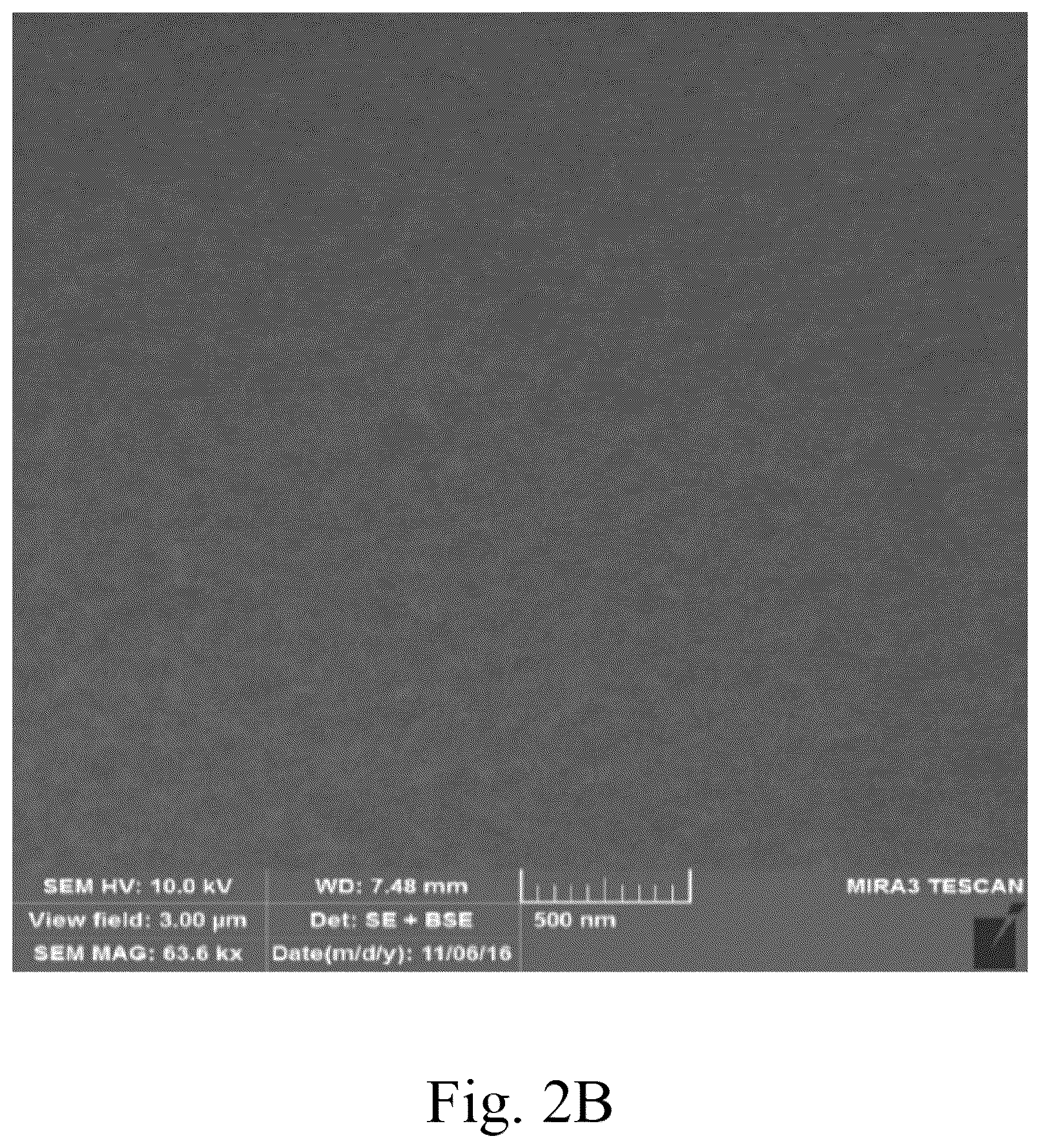 Patent US12102966 Figure 3 – CO 2 gas enrichment method