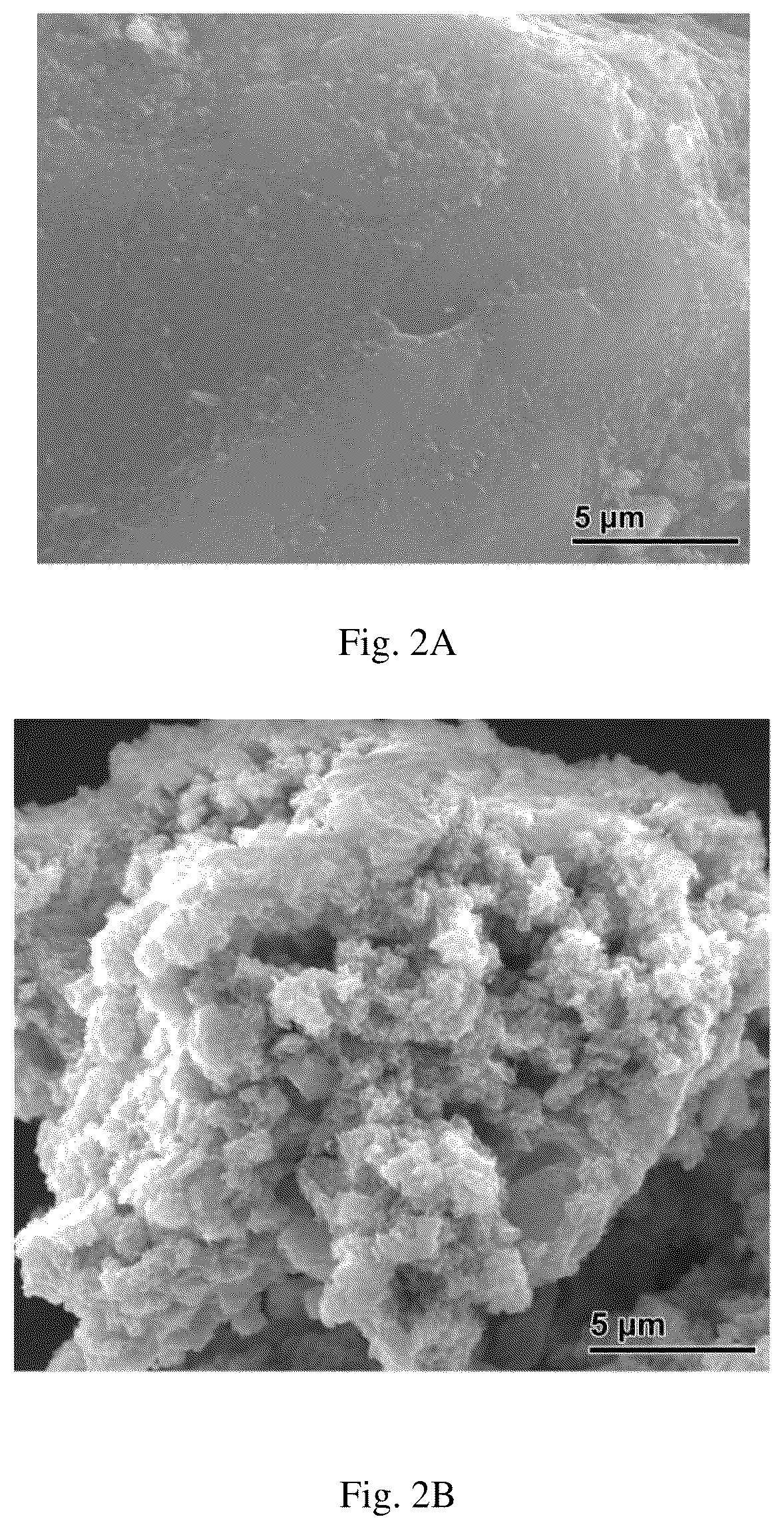 Patent US12102980 Figure 2 – Material for removing contaminants from water
