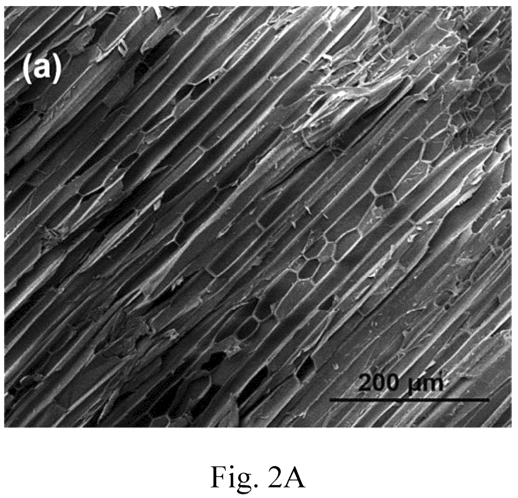 Patent US12102982 Figure 2 – Method for making natural material-supported palladium catalyst