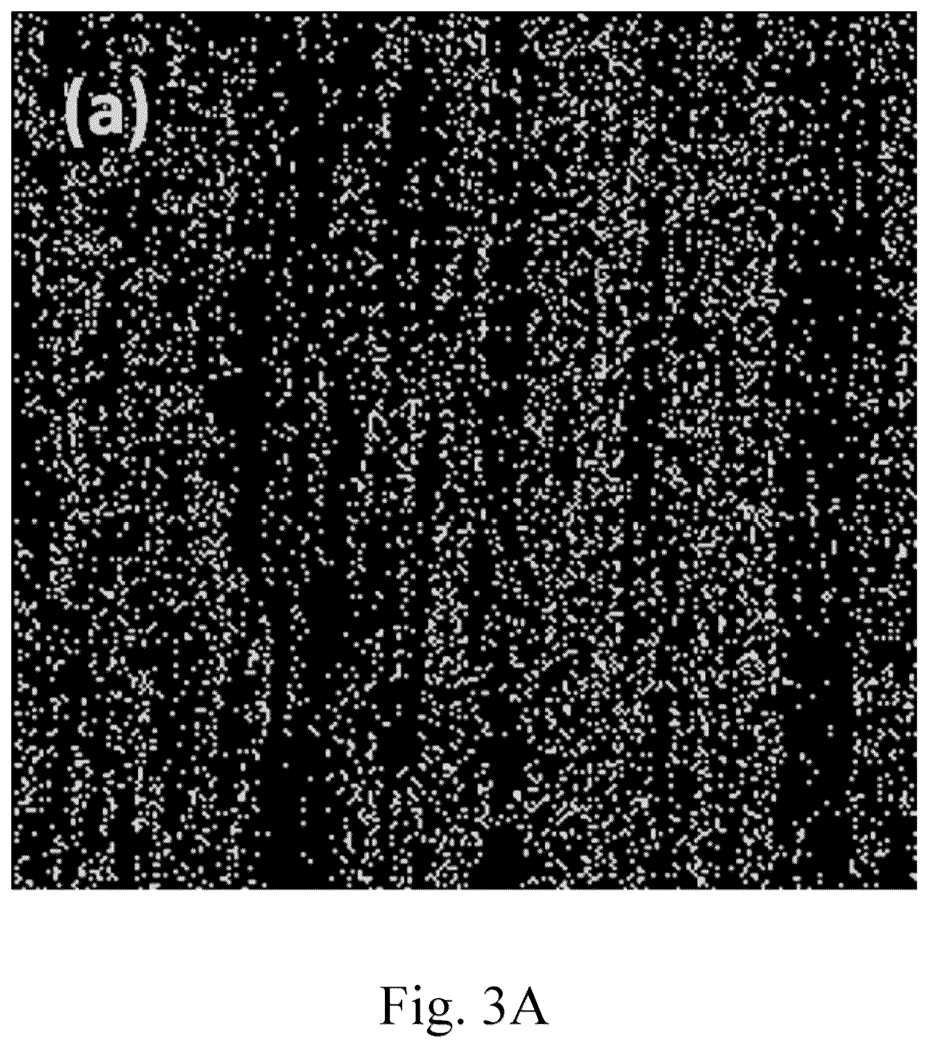 Patent US12102982 Figure 5 – Method for making natural material-supported palladium catalyst