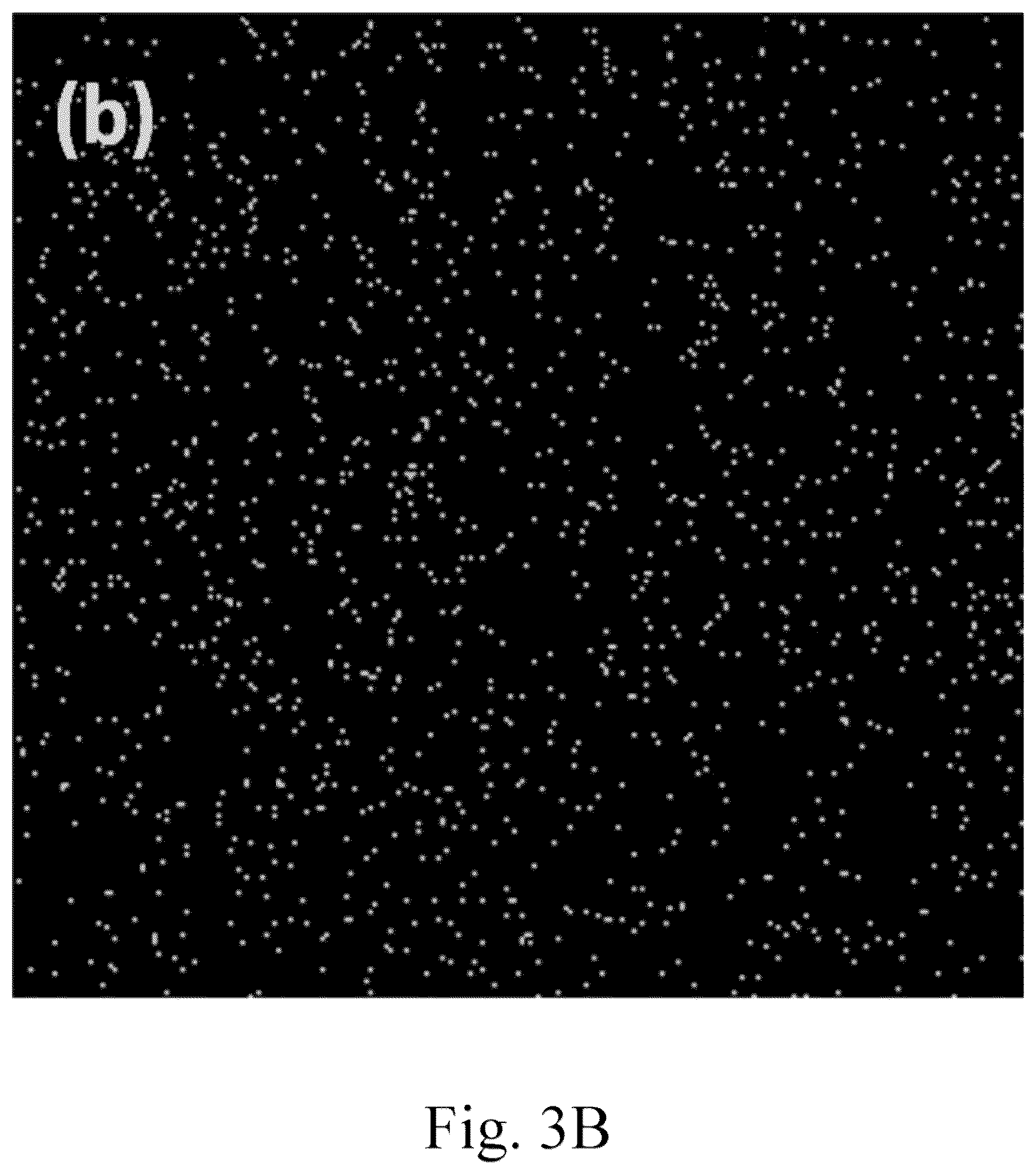 Patent US12102982 Figure 6 – Method for making natural material-supported palladium catalyst