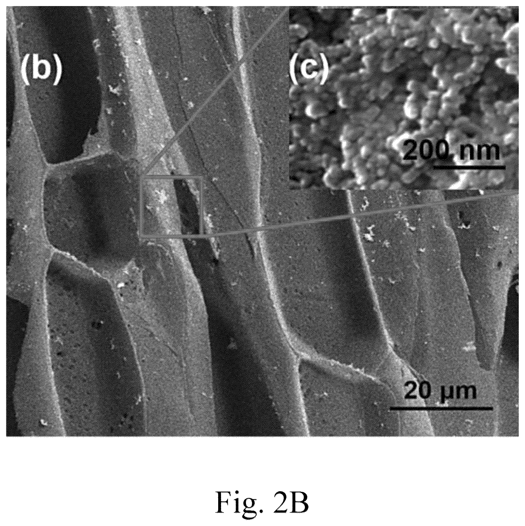 Patent US12102983 Figure 3 – Method for making an unmodified jute supported catalyst
