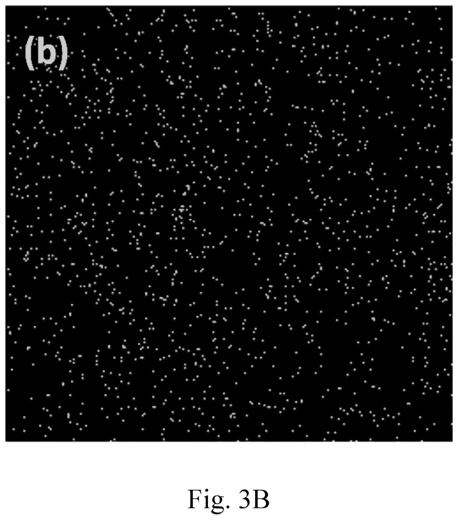 Patent US12102983 Figure 6 – Method for making an unmodified jute supported catalyst