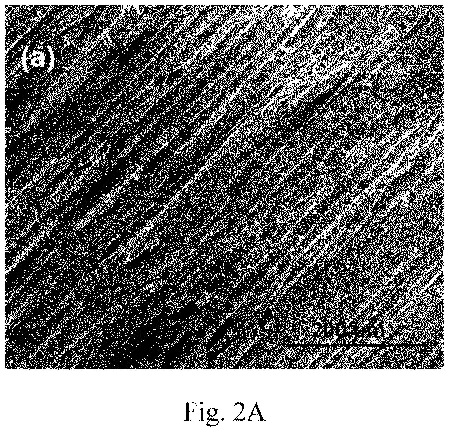 Patent US12102984 Figure 2 – Green method for preparing jute stem-supported catalyst