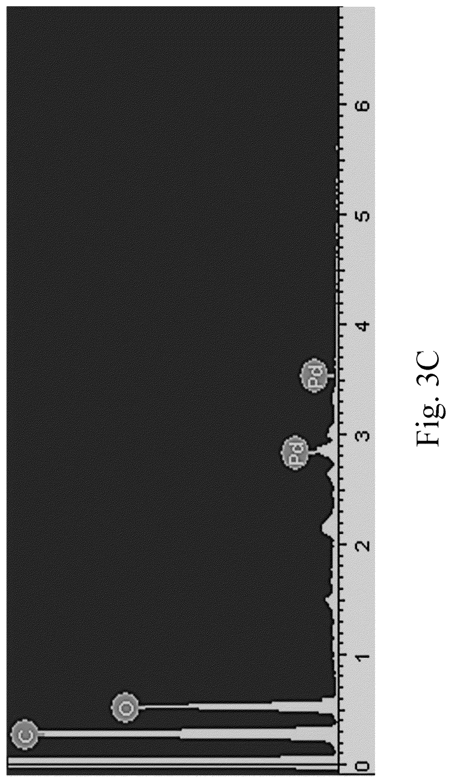Patent US12102984 Figure 7 – Green method for preparing jute stem-supported catalyst