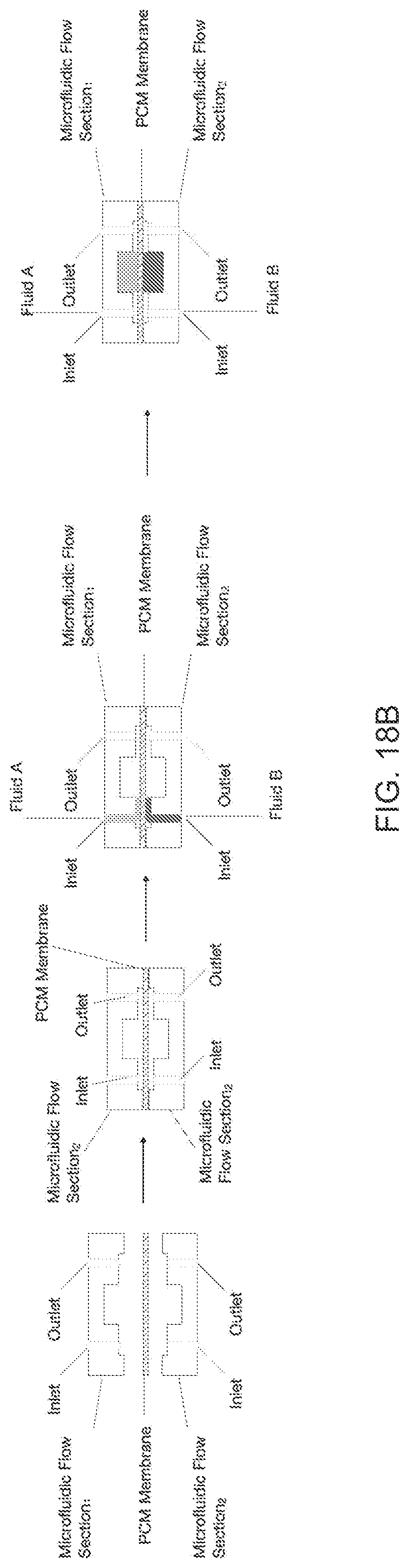Patent US12103000 Figure 19 – Microfluidic phase-change membrane microvalves