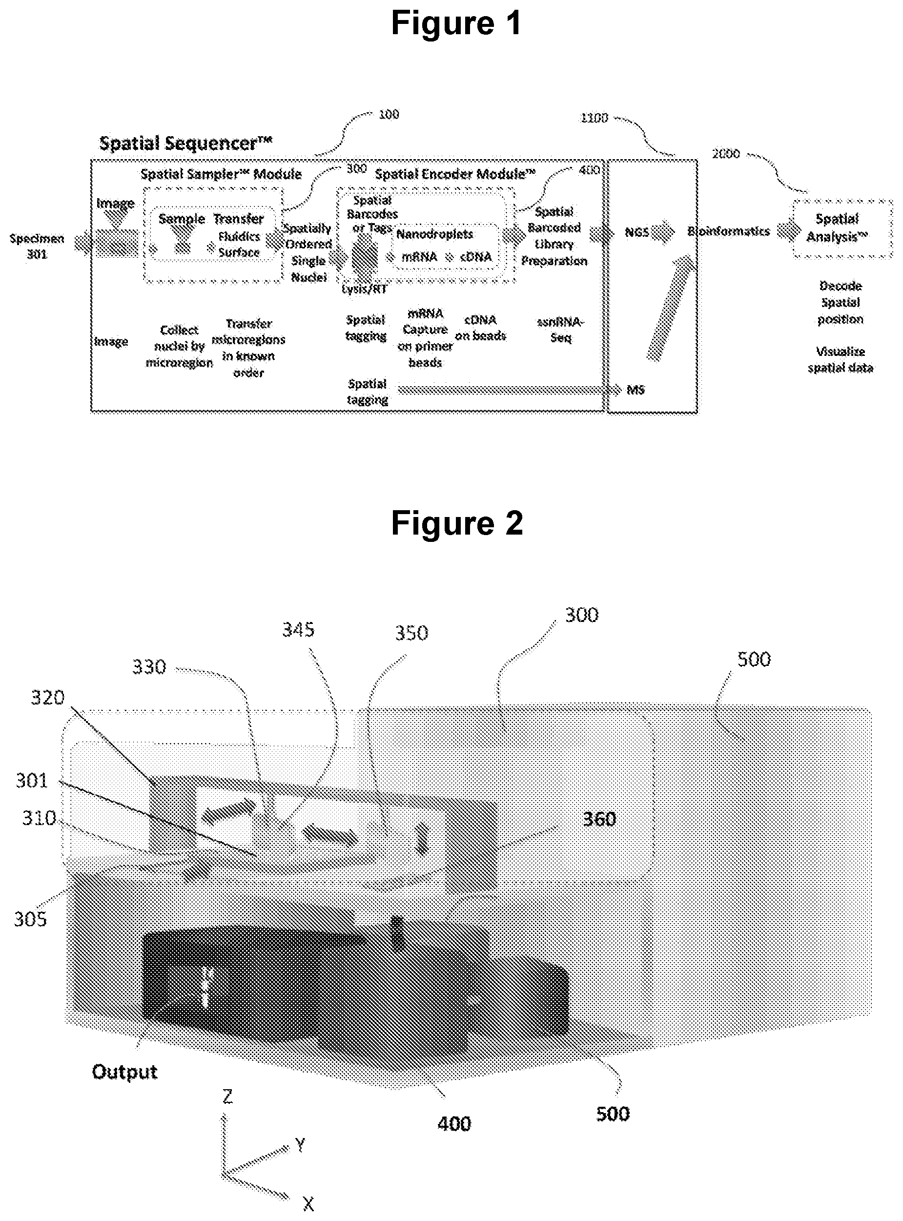 Patent US12103004 Figure 1 – Method and apparatus for processing tissue and other samples encoding cellular spatial position information