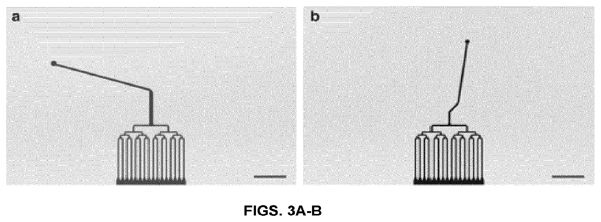 Patent US12103216 Figure 6 – Fluidic systems, devices and methods for inducing anisotropy in polymeric materials
