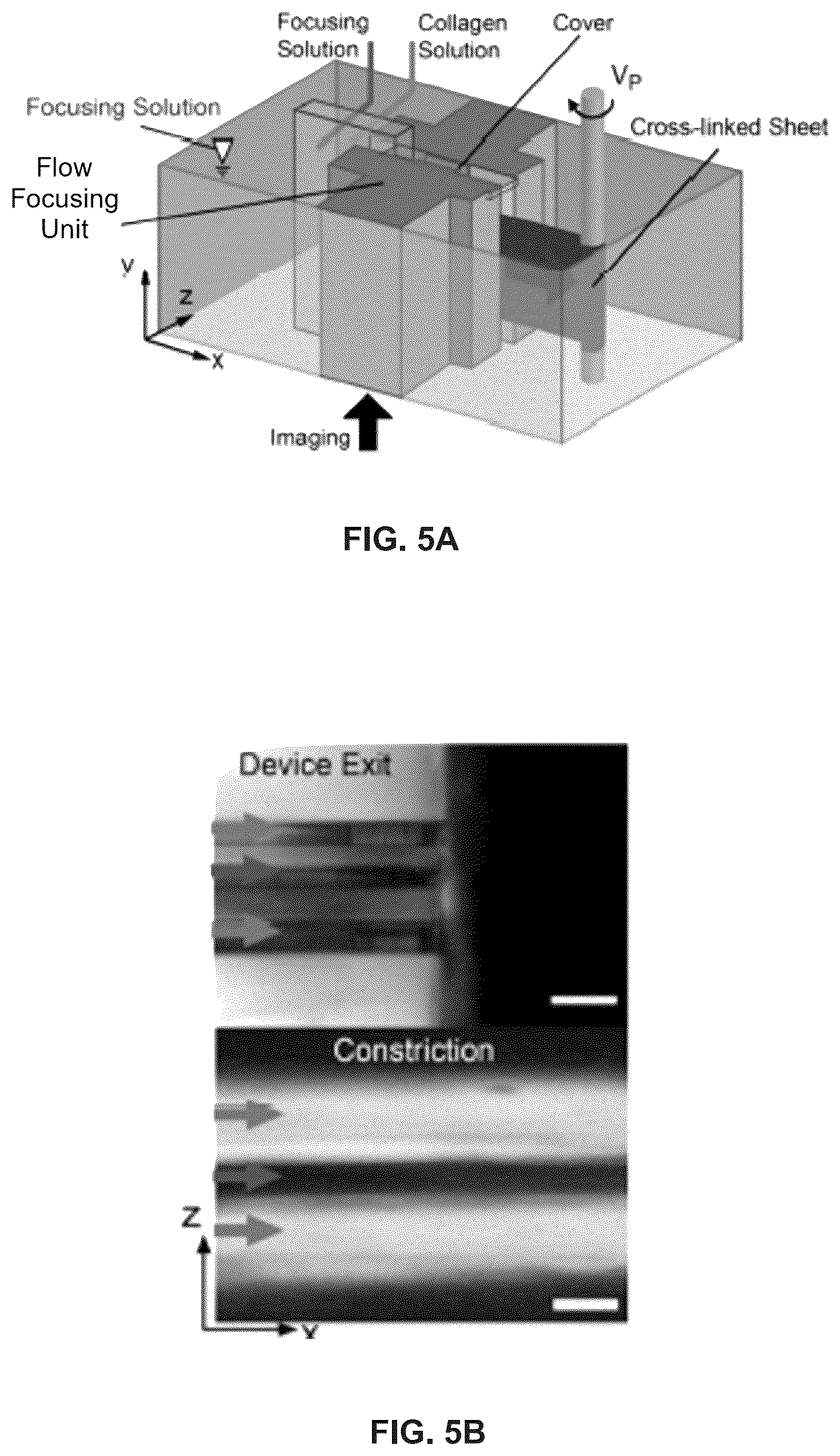Patent US12103216 Figure 8 – Fluidic systems, devices and methods for inducing anisotropy in polymeric materials