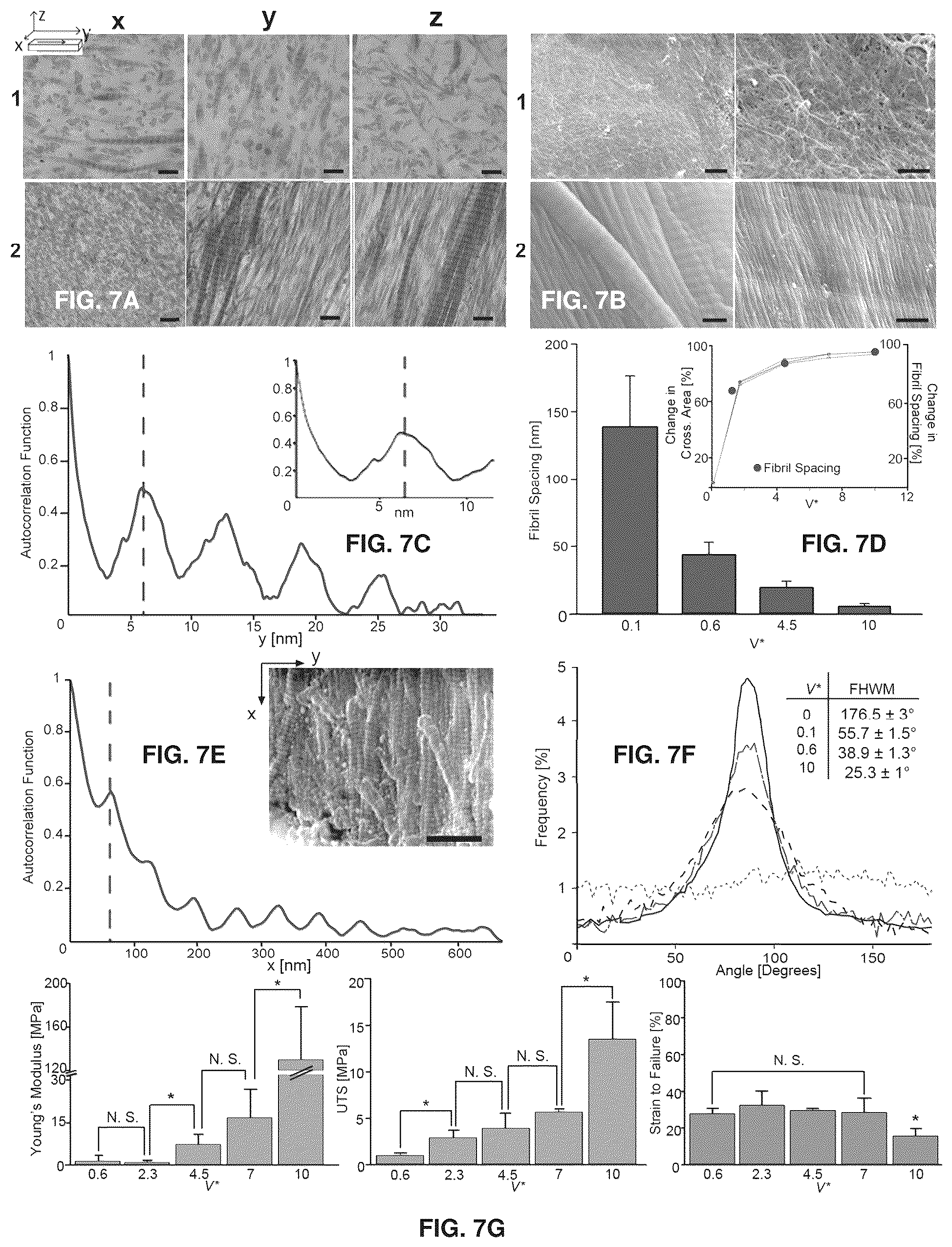 Patent US12103216 Figure 12 – Fluidic systems, devices and methods for inducing anisotropy in polymeric materials