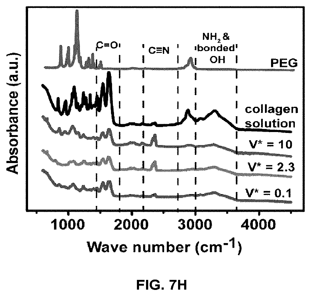 Patent US12103216 Figure 13 – Fluidic systems, devices and methods for inducing anisotropy in polymeric materials