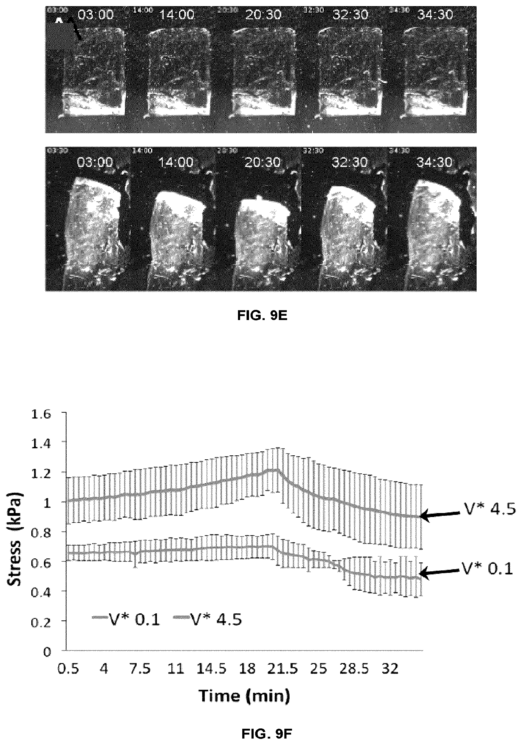Patent US12103216 Figure 16 – Fluidic systems, devices and methods for inducing anisotropy in polymeric materials