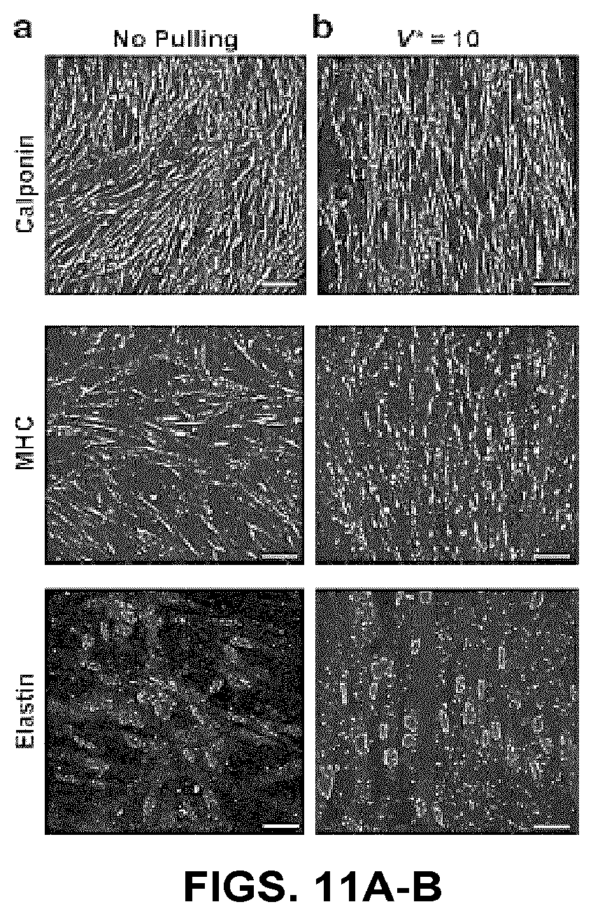 Patent US12103216 Figure 19 – Fluidic systems, devices and methods for inducing anisotropy in polymeric materials