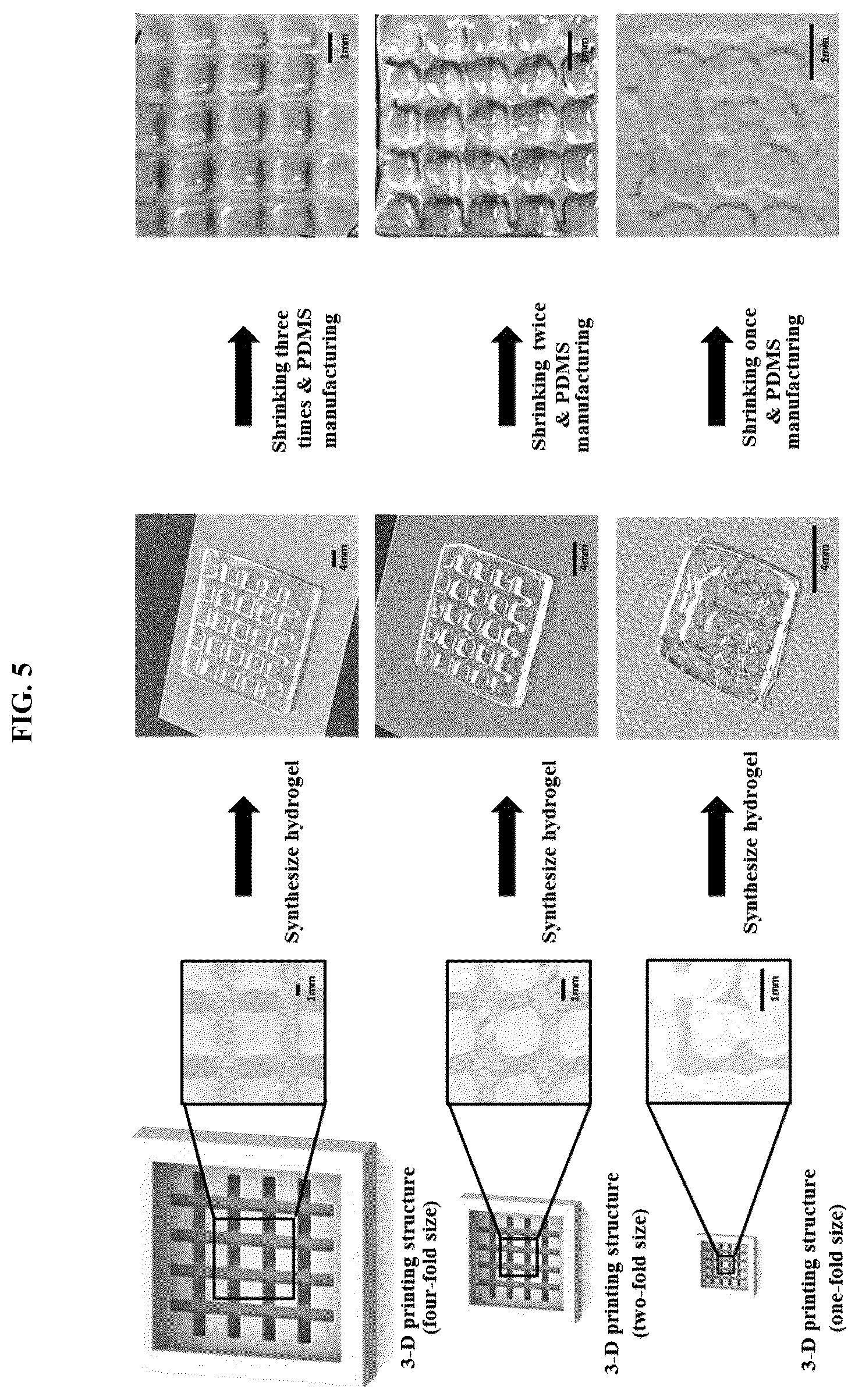 Patent US12103239 Figure 5 – Method and system for manufacturing high-resolution structure using size-tunable hydrogel