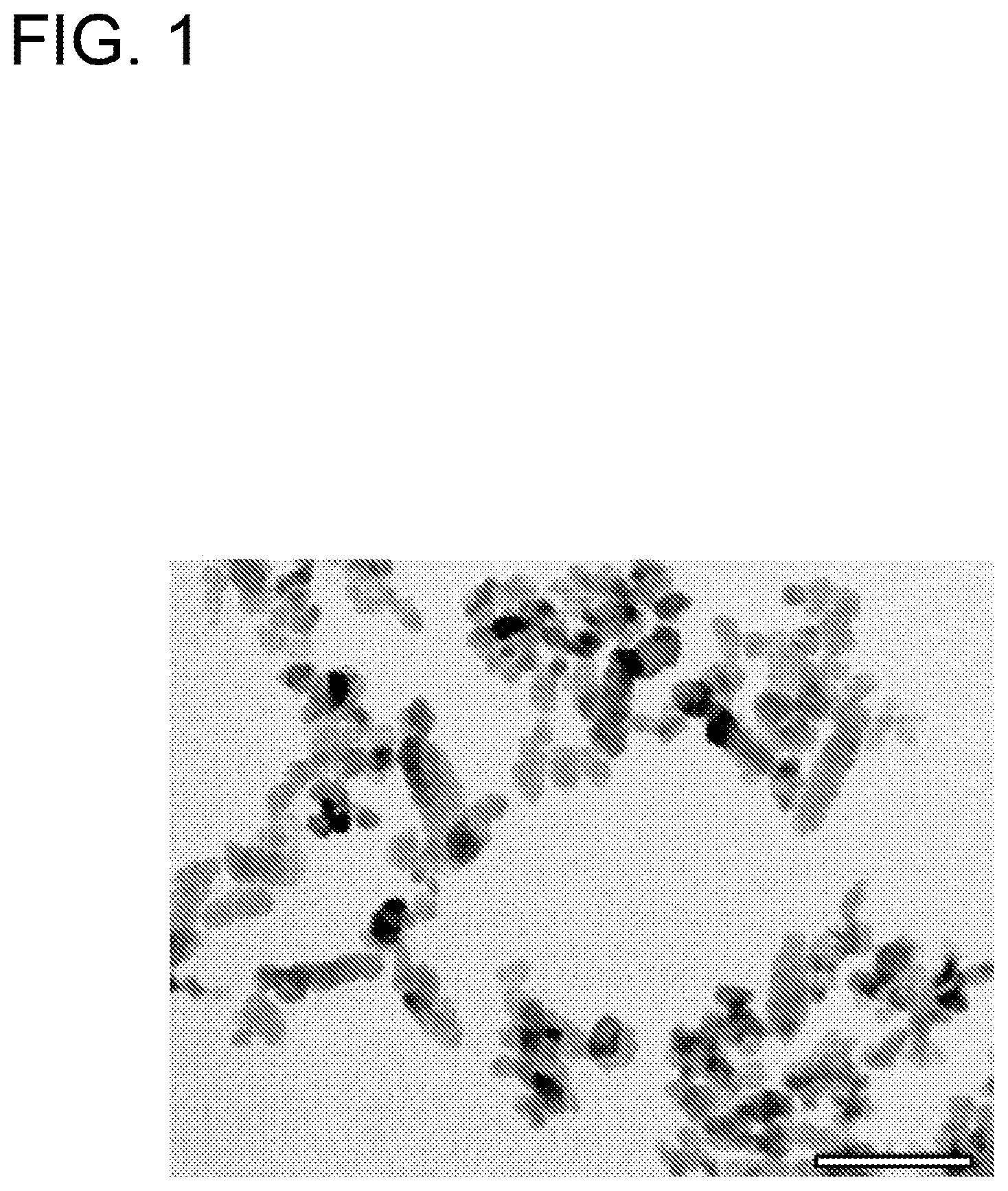 Patent US12103859 — Calcium carbonate with controlled particle morphology, method for producing the same, and crystal growth method — Figure 1