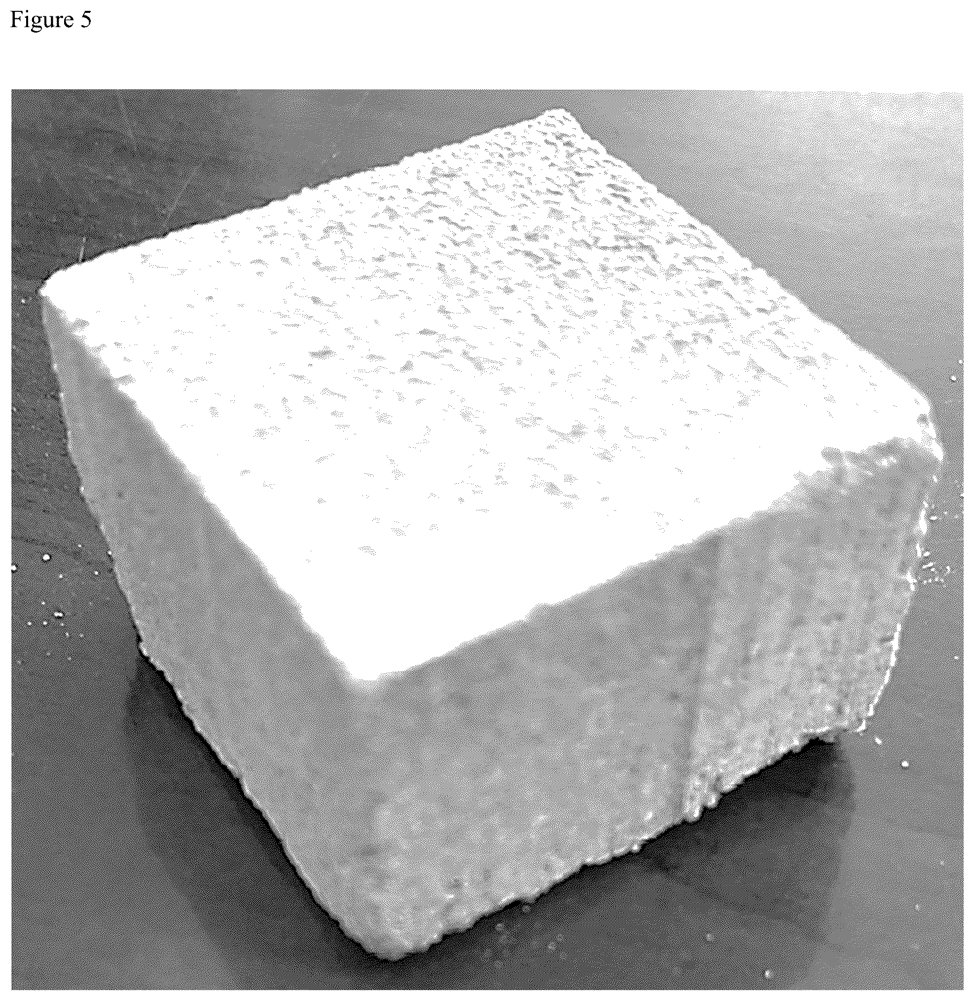 Patent US12103873 Figure 4 – Waste processing apparatus and methods of making and use