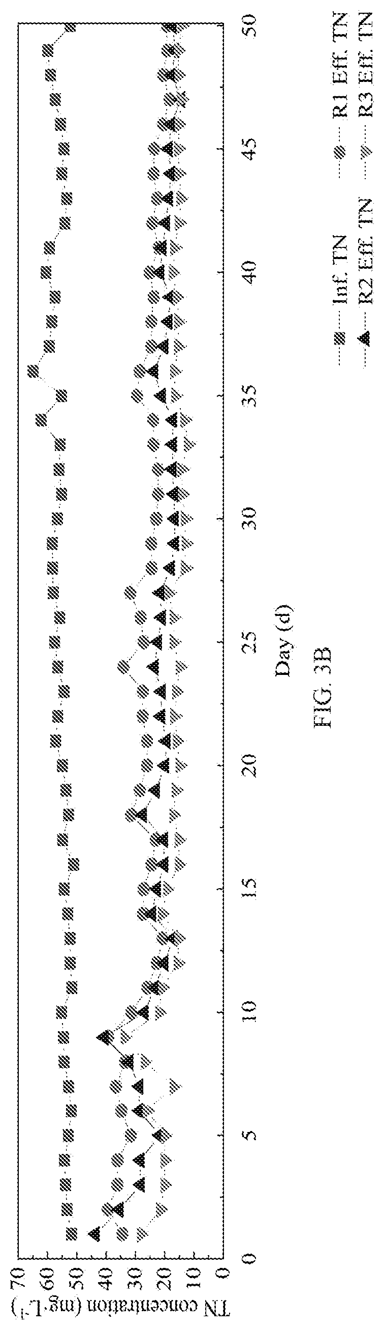 Patent US12103878 Figure 3 – Biofilm composite carrier and preparation method and use thereof