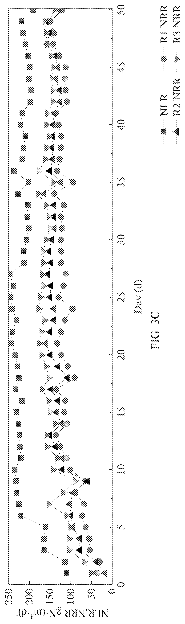 Patent US12103878 Figure 4 – Biofilm composite carrier and preparation method and use thereof