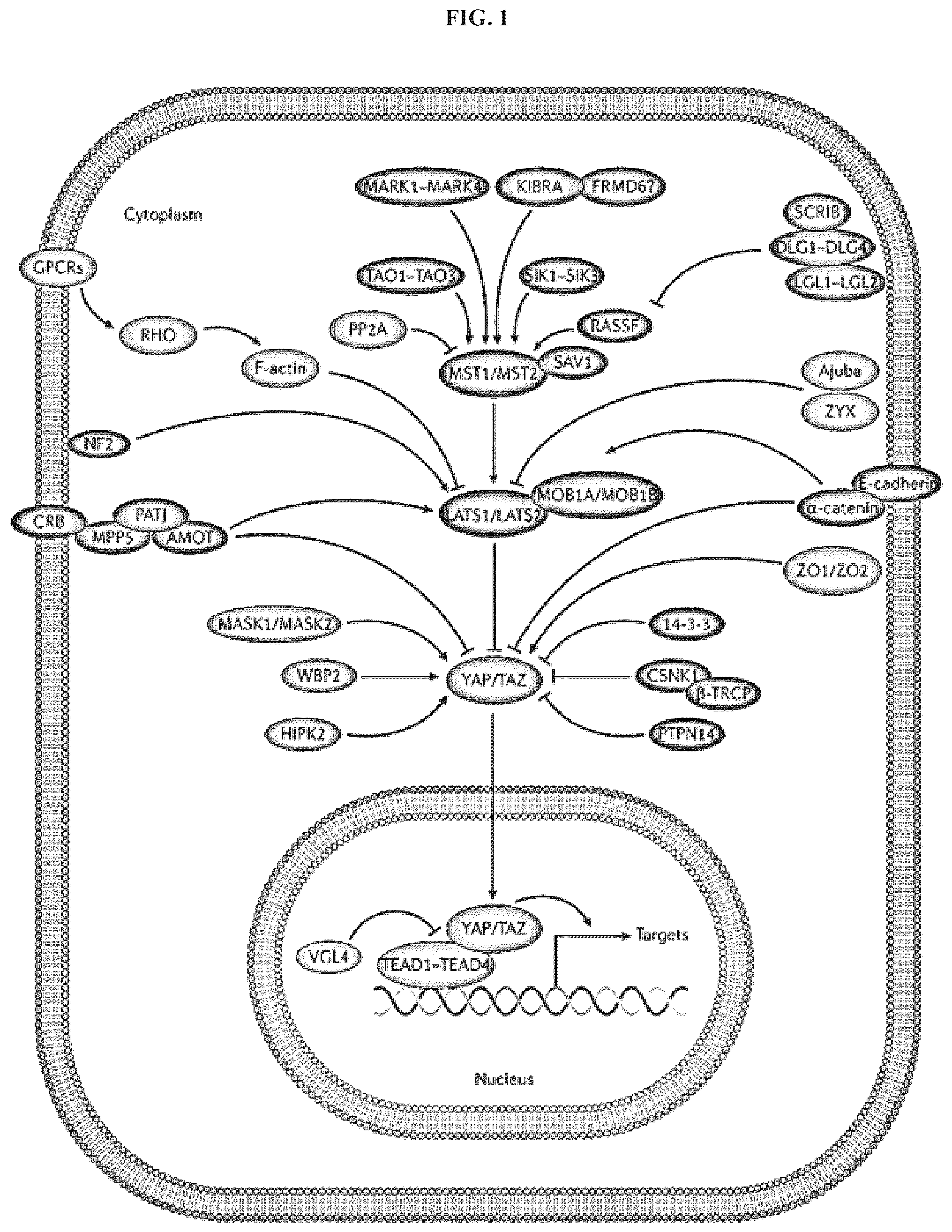 Patent US12103902 — Bicyclic compounds — Figure 1