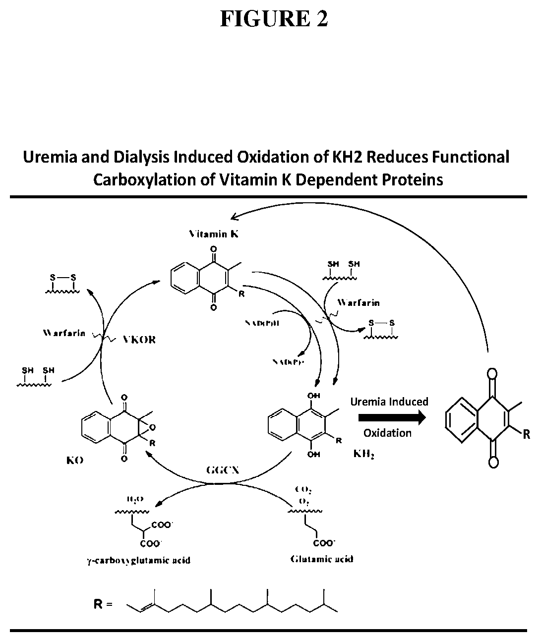 Patent US12103914 Figure 2 – Compositions of biologically active menaquinol derivatives and methods of treatment