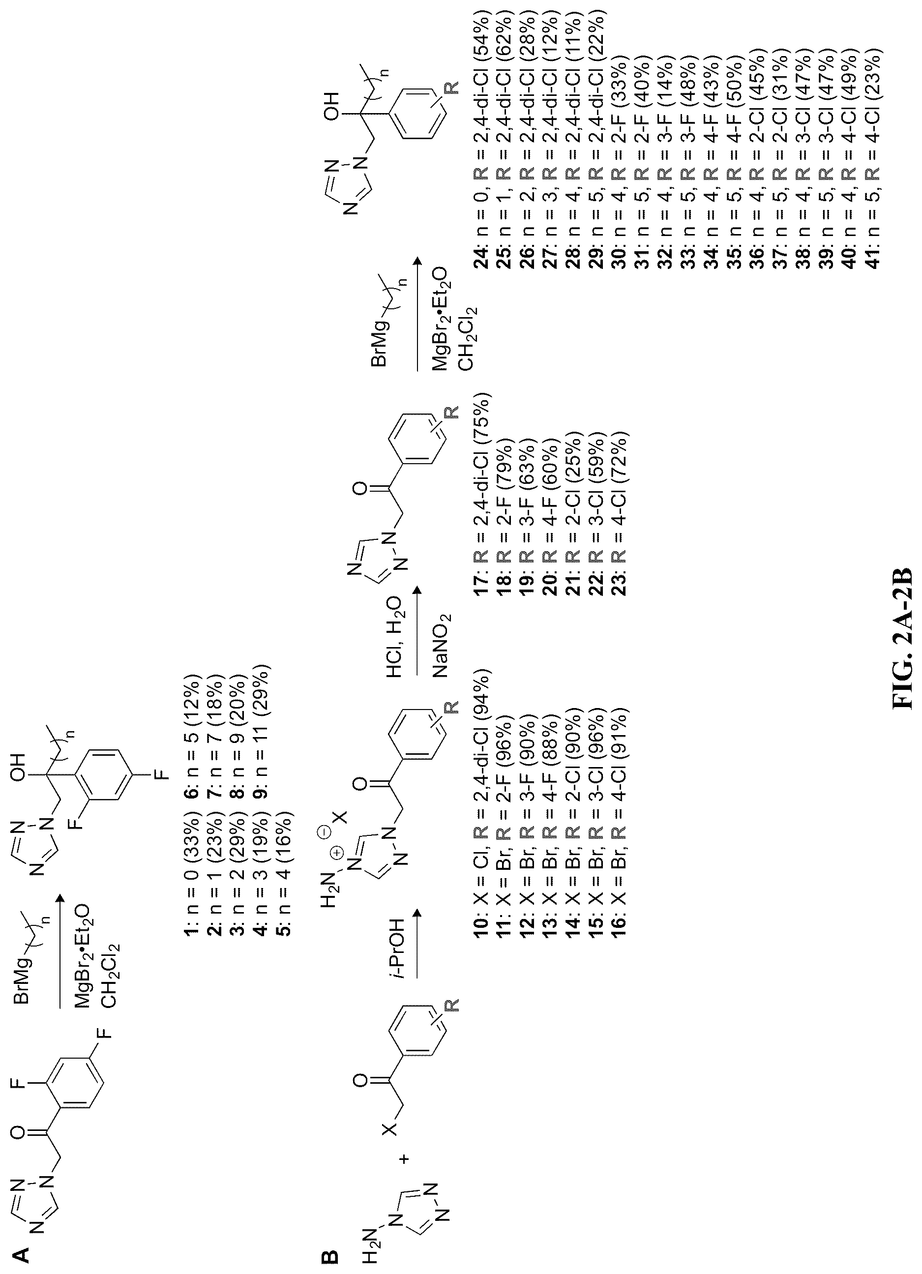 Patent US12103916 Figure 2 – Antifungal compounds