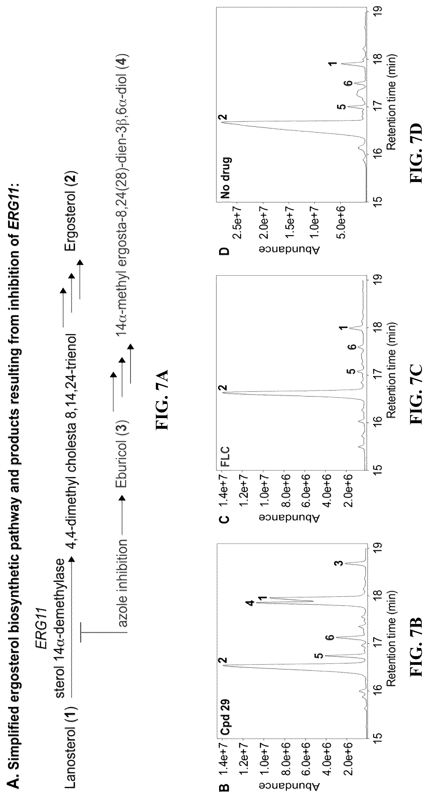Patent US12103916 Figure 7 – Antifungal compounds