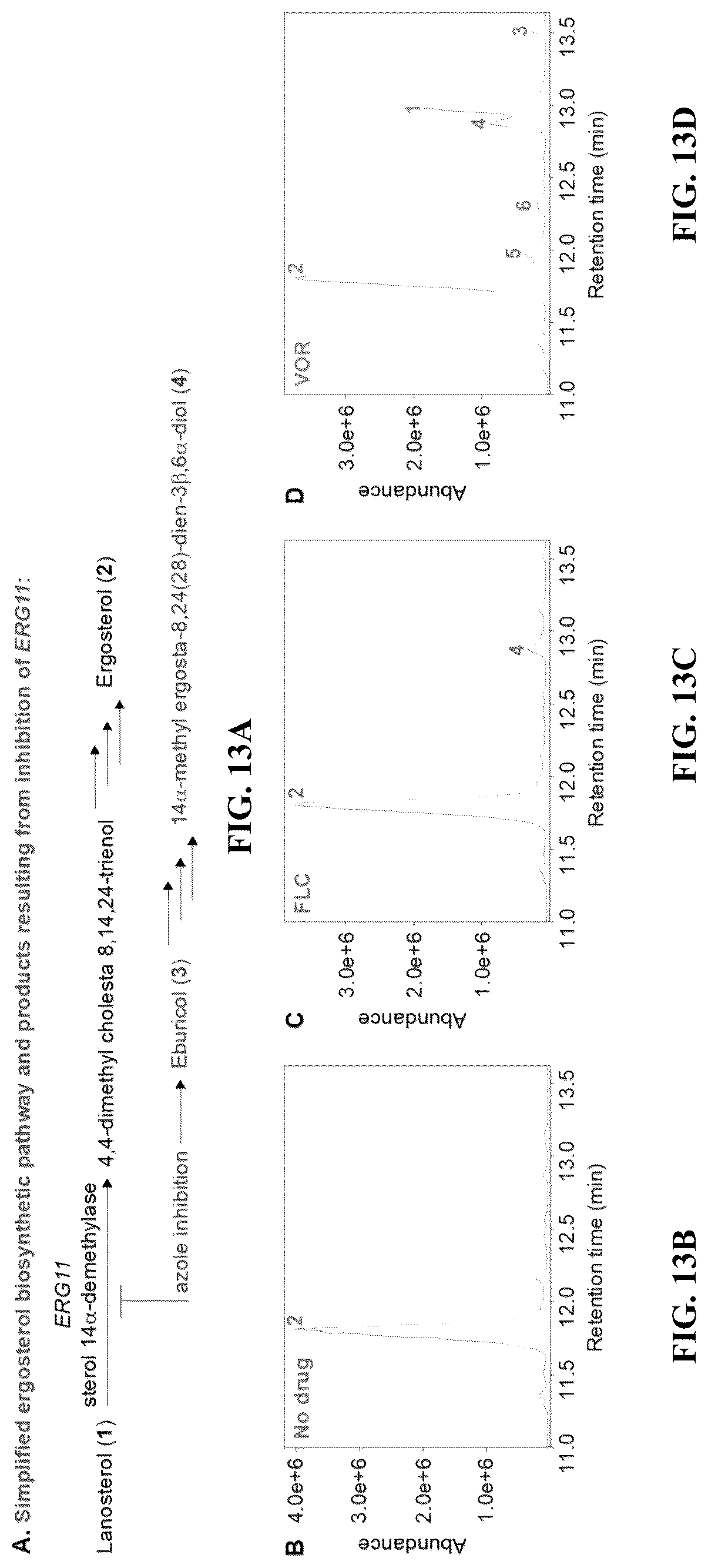 Patent US12103916 Figure 15 – Antifungal compounds