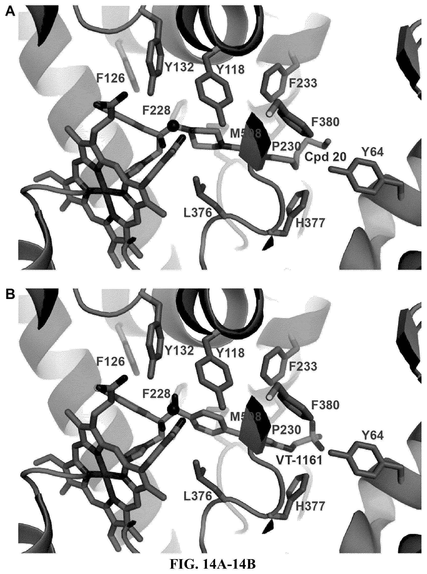 Patent US12103916 Figure 17 – Antifungal compounds