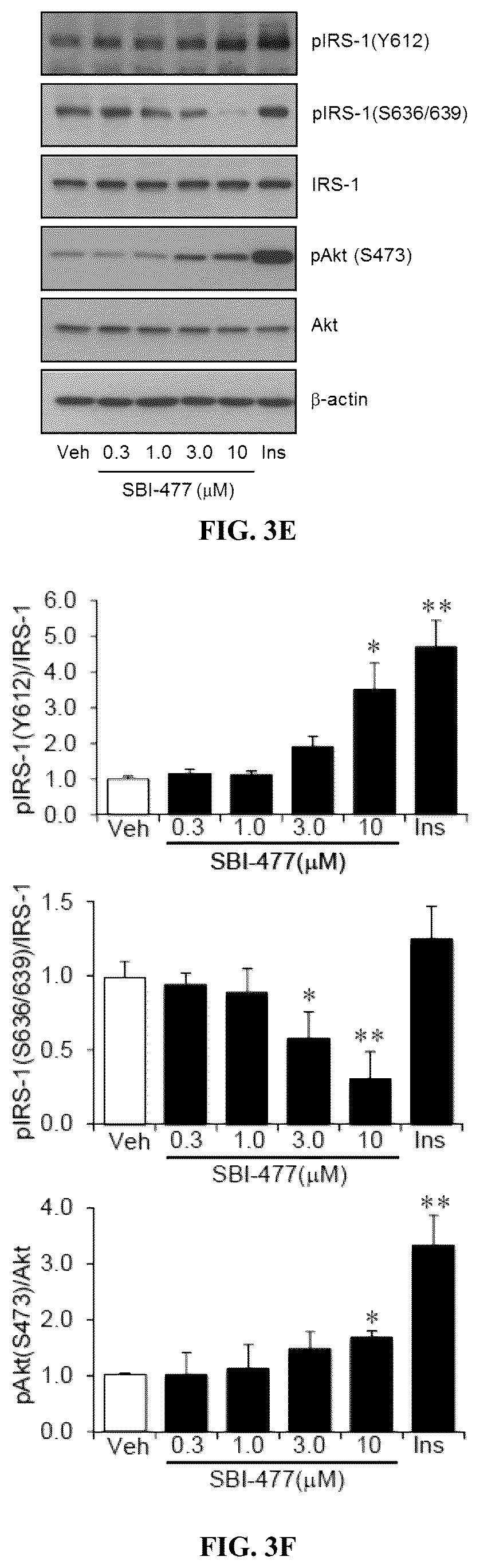 Patent US12103917 Figure 6 – Modulators of myocyte lipid accumulation and insulin resistance and methods of use thereof