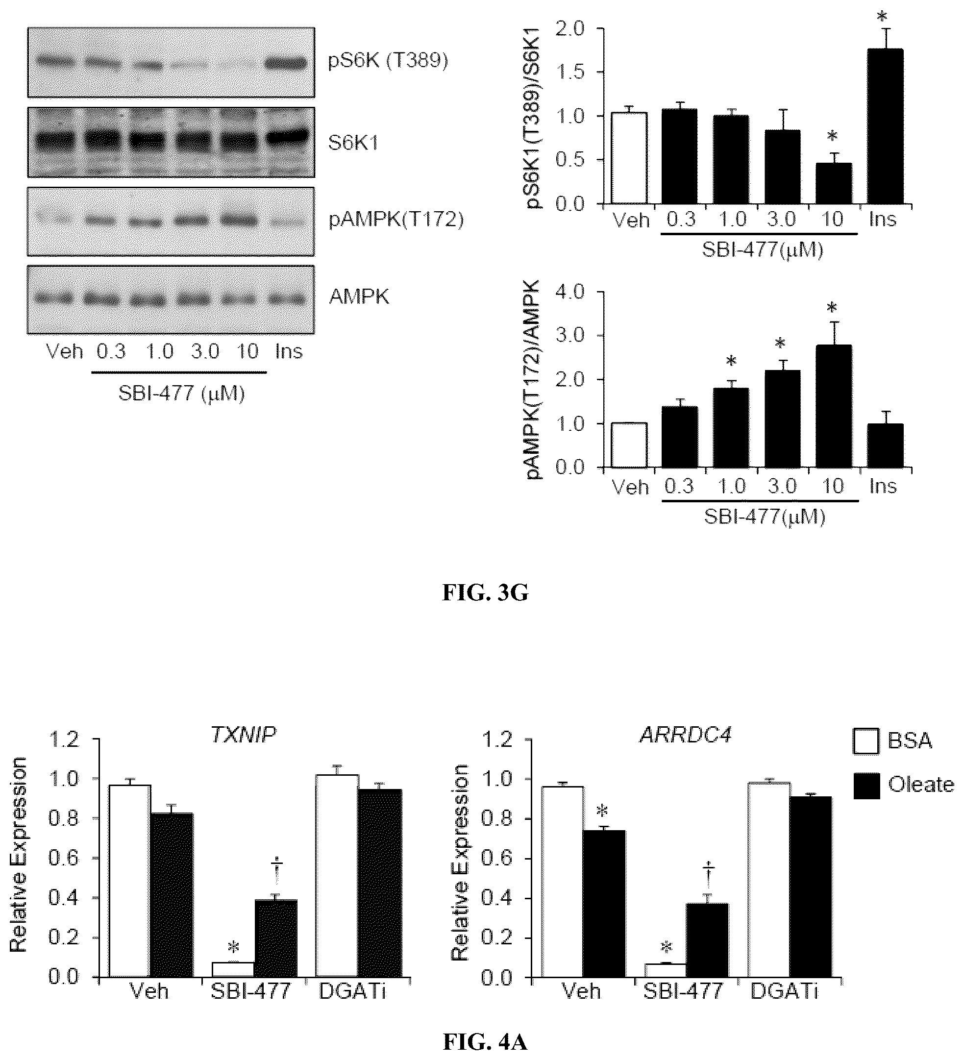 Patent US12103917 Figure 7 – Modulators of myocyte lipid accumulation and insulin resistance and methods of use thereof