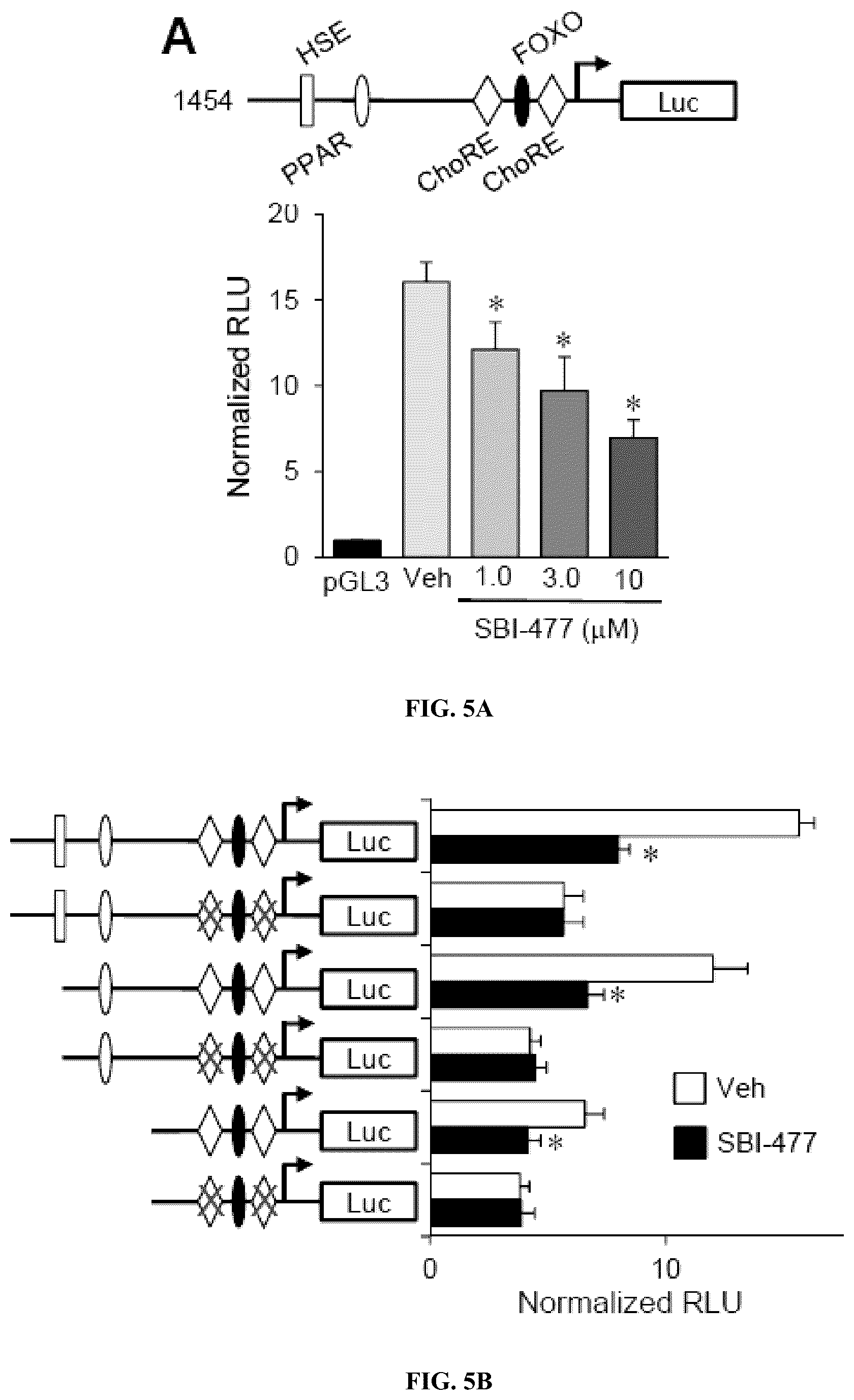 Patent US12103917 Figure 9 – Modulators of myocyte lipid accumulation and insulin resistance and methods of use thereof