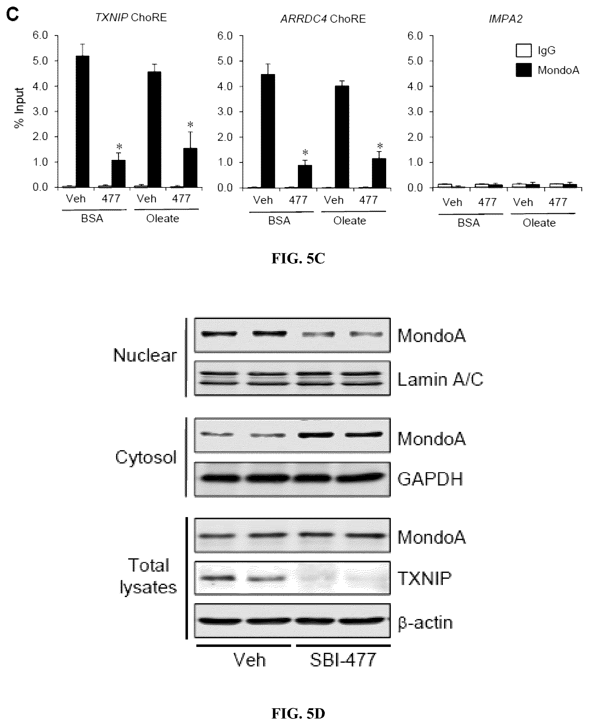Patent US12103917 Figure 10 – Modulators of myocyte lipid accumulation and insulin resistance and methods of use thereof