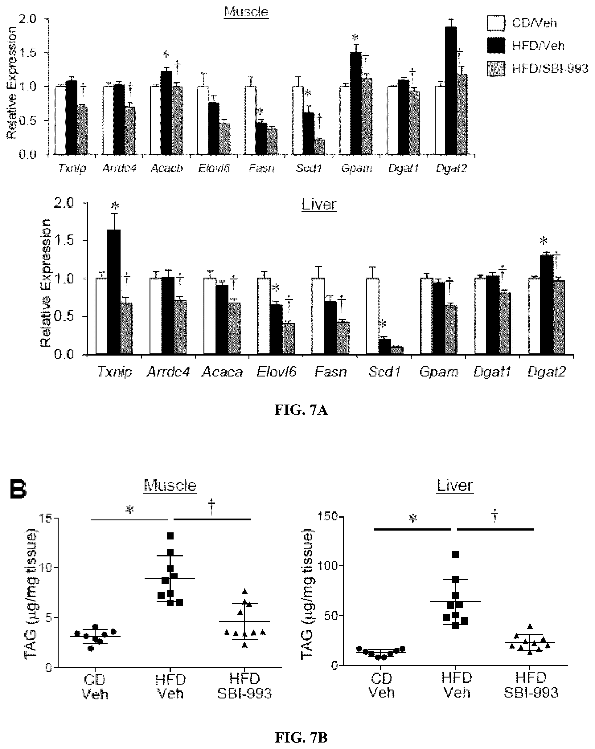 Patent US12103917 Figure 14 – Modulators of myocyte lipid accumulation and insulin resistance and methods of use thereof