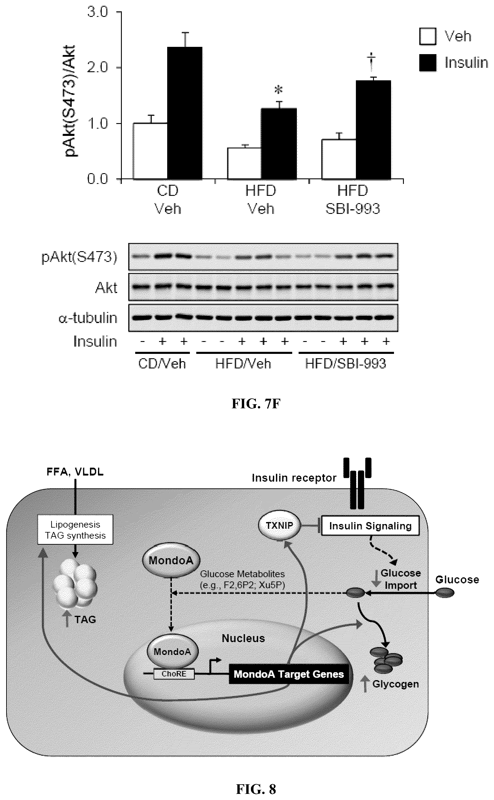 Patent US12103917 Figure 17 – Modulators of myocyte lipid accumulation and insulin resistance and methods of use thereof