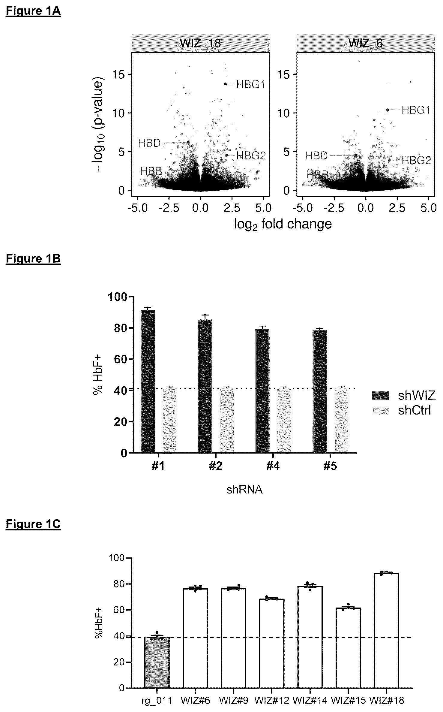 Patent US12103919 Figure 1 – 3-(5-oxy)-1-oxoisoindolin-2-yl)piperidine-2,6-dione derivatives and uses thereof