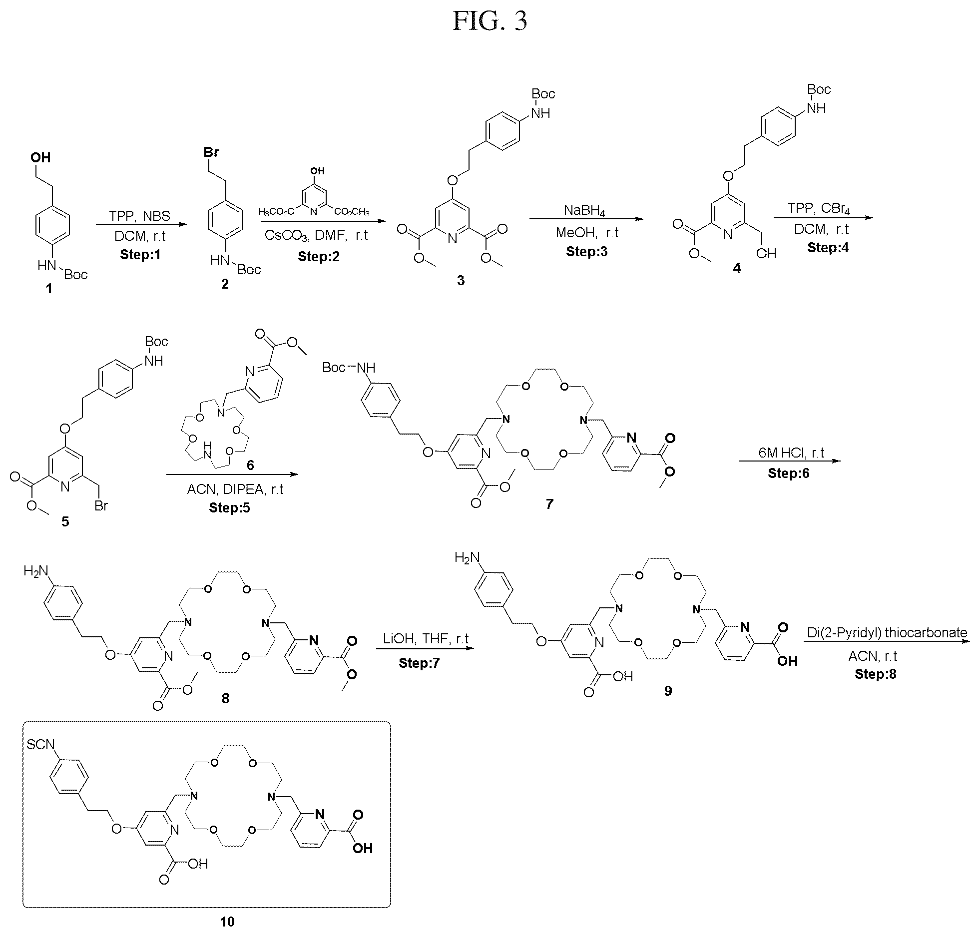 Patent US12103922 Figure 5 – Macrocyclic complexes of alpha-emitting radionuclides and their use in targeted radiotherapy of cancer