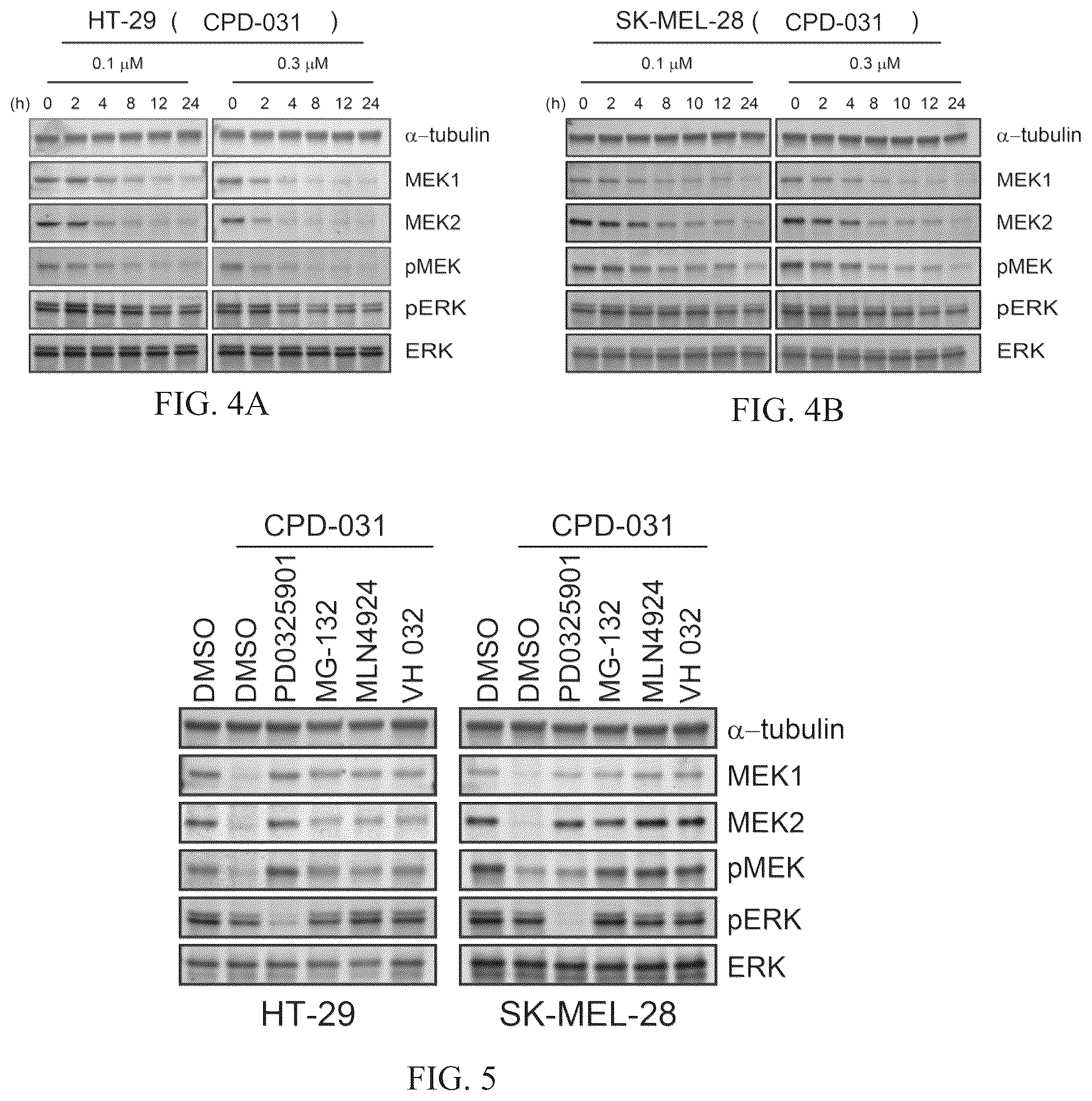 Patent US12103924 Figure 3 – Mitogen-activated protein kinase kinase (MEK) degradation compounds and methods of use