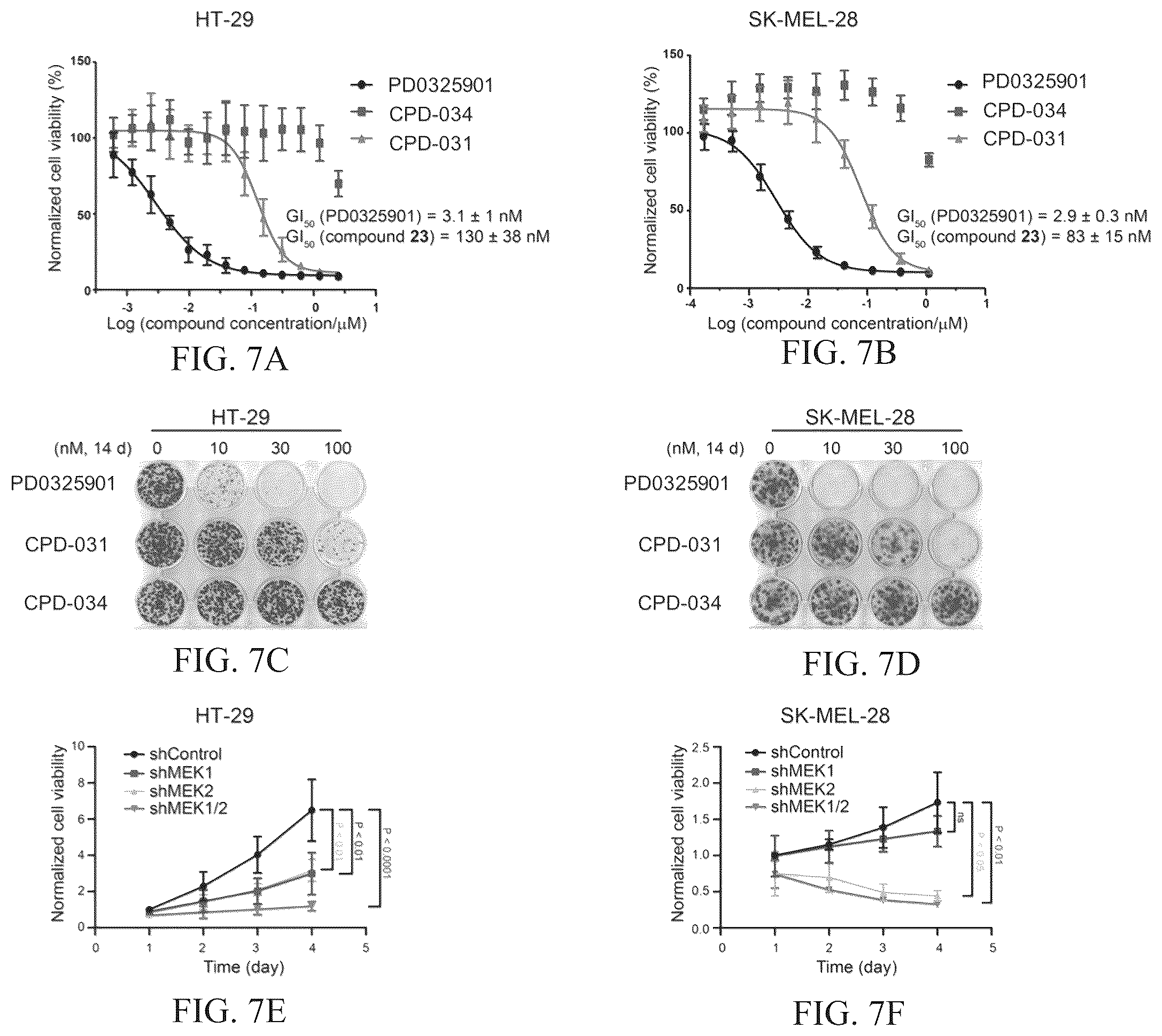 Patent US12103924 Figure 5 – Mitogen-activated protein kinase kinase (MEK) degradation compounds and methods of use