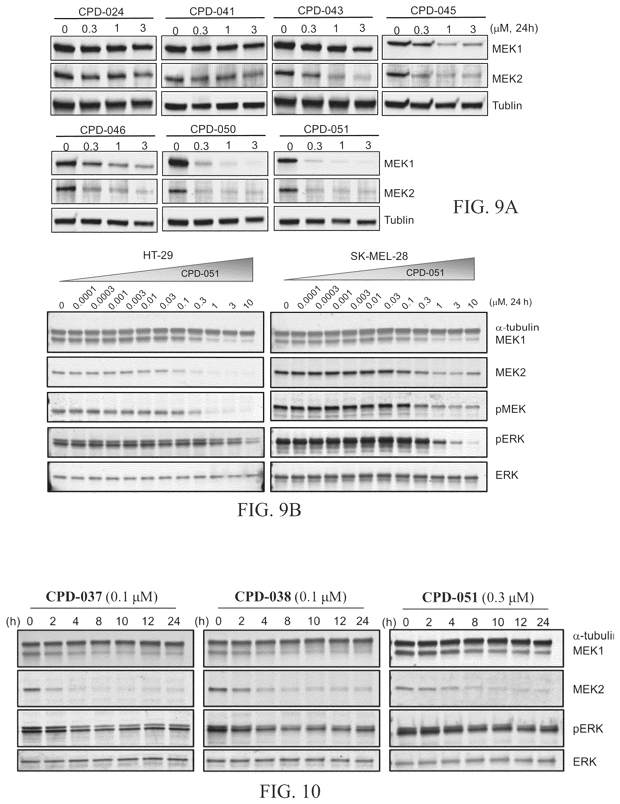 Patent US12103924 Figure 7 – Mitogen-activated protein kinase kinase (MEK) degradation compounds and methods of use