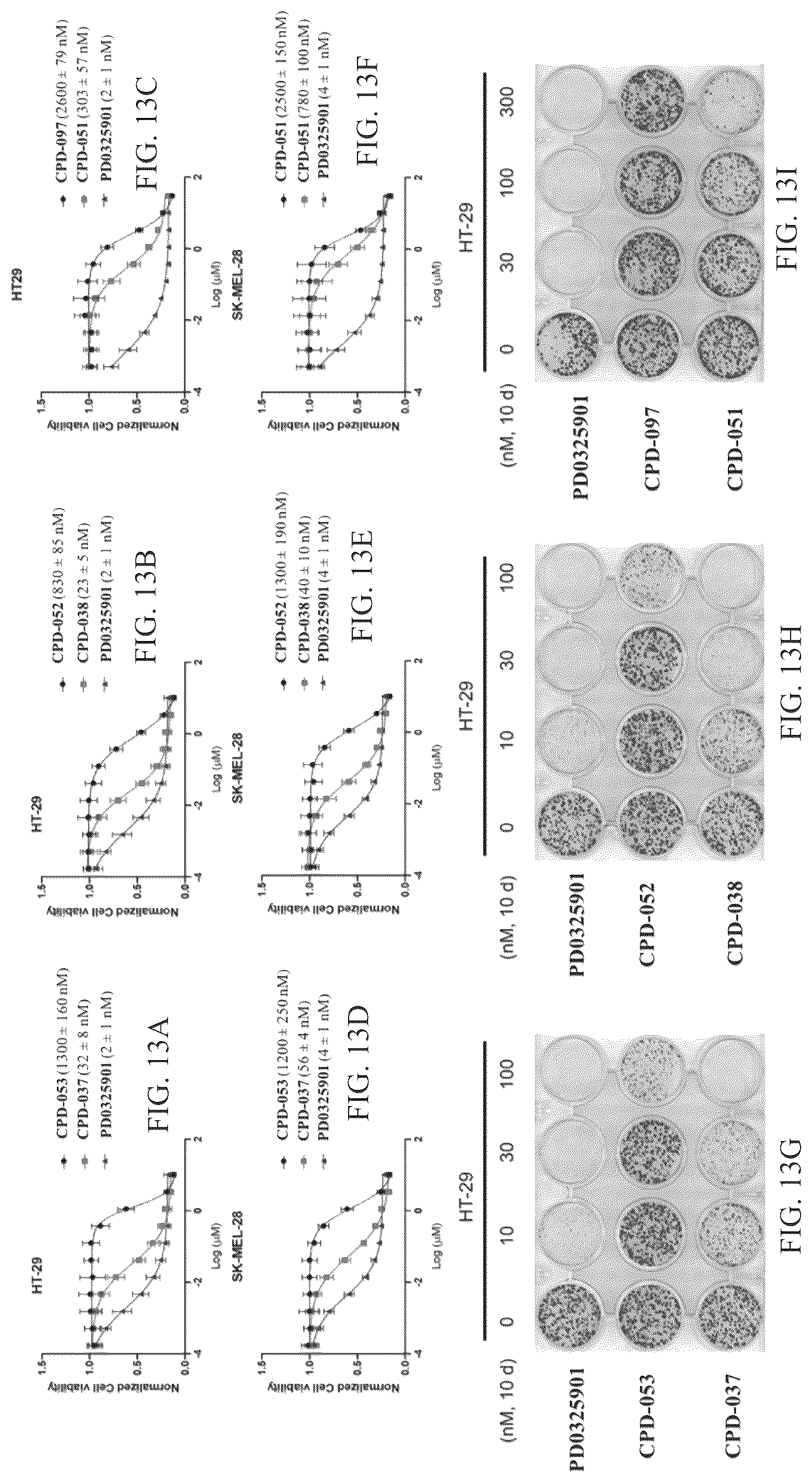 Patent US12103924 Figure 9 – Mitogen-activated protein kinase kinase (MEK) degradation compounds and methods of use