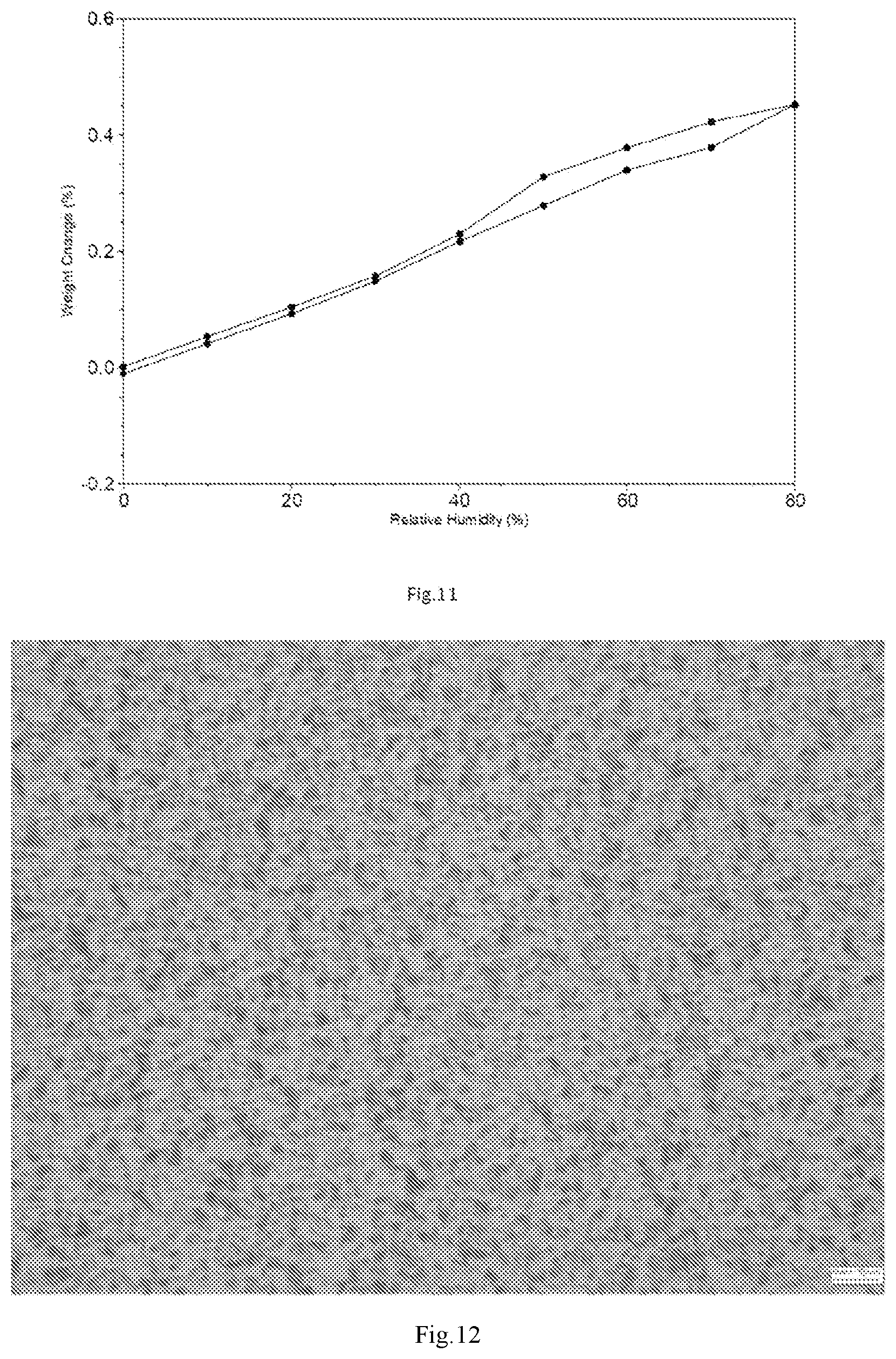 Patent US12103925 Figure 6 – Crystal and amorphous form of tolebrutinib, preparation method therefor, and use thereof