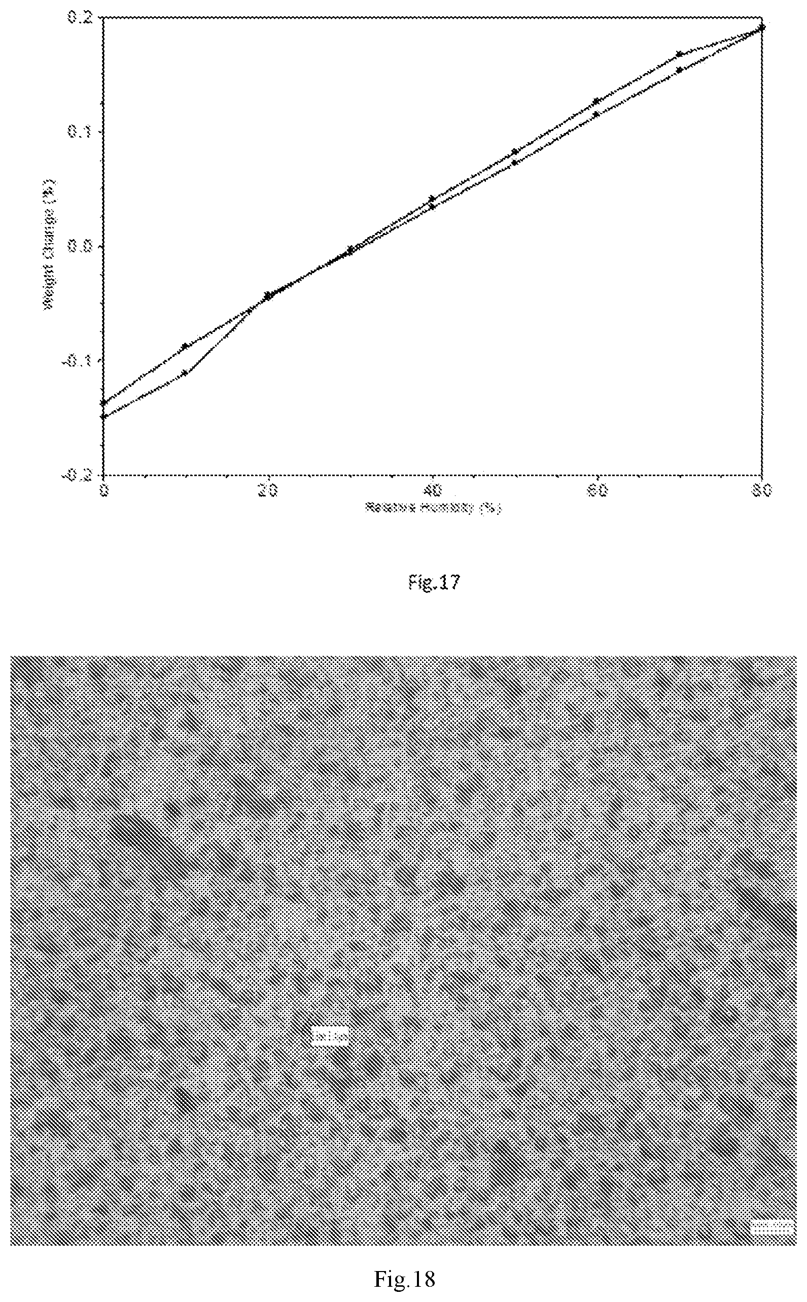 Patent US12103925 Figure 9 – Crystal and amorphous form of tolebrutinib, preparation method therefor, and use thereof