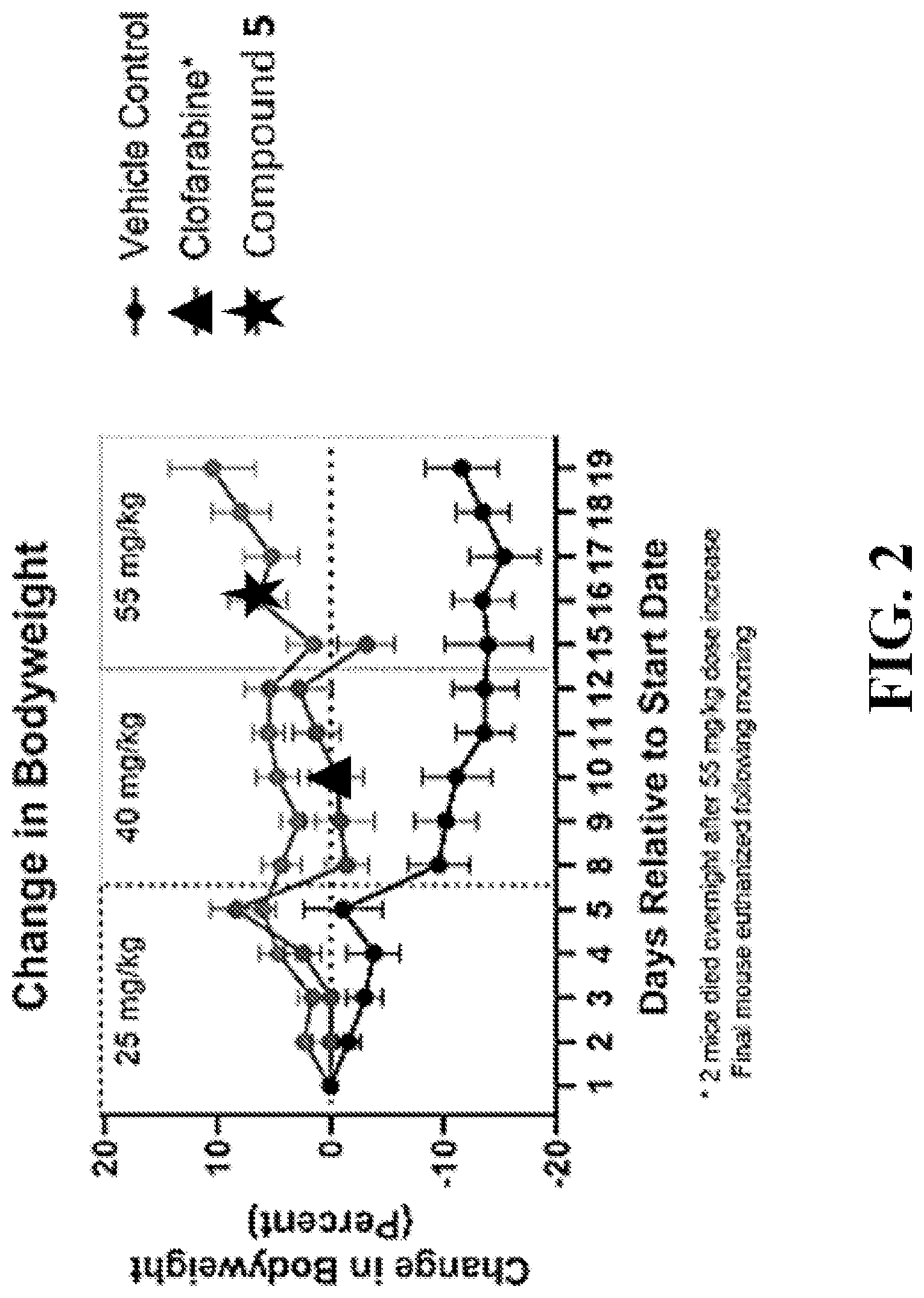 Patent US12103943 Figure 2 – Development of novel clofarabine analogs for cancer therapy