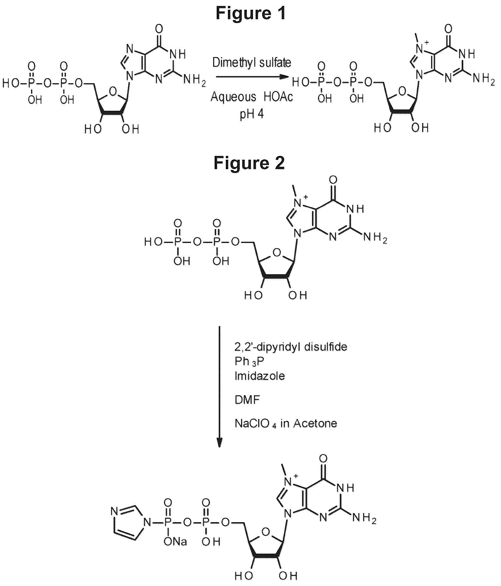 Patent US12103944 Figure 1 – Compositions and methods for synthesizing 5′-capped RNAs