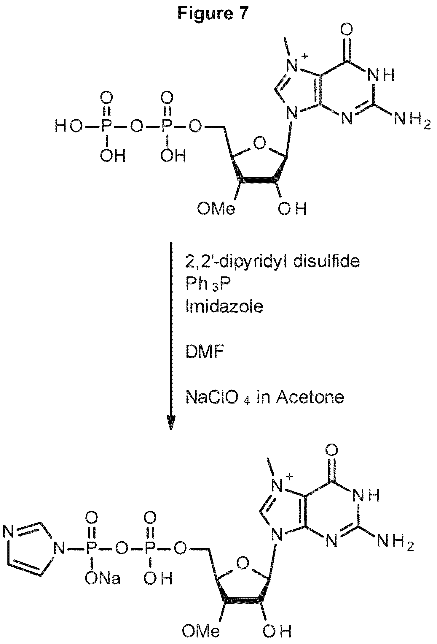 Patent US12103944 Figure 3 – Compositions and methods for synthesizing 5′-capped RNAs