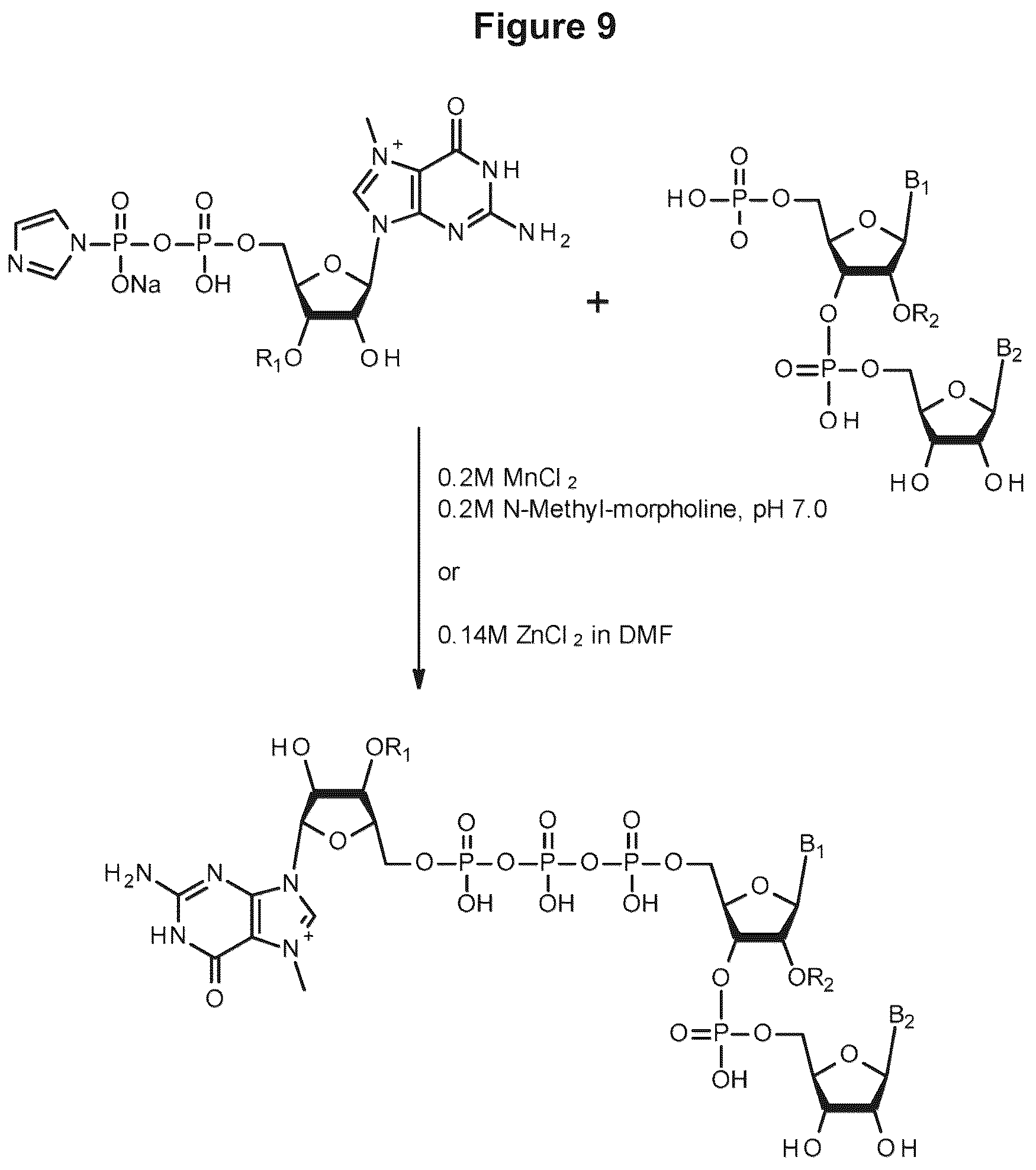 Patent US12103944 Figure 5 – Compositions and methods for synthesizing 5′-capped RNAs