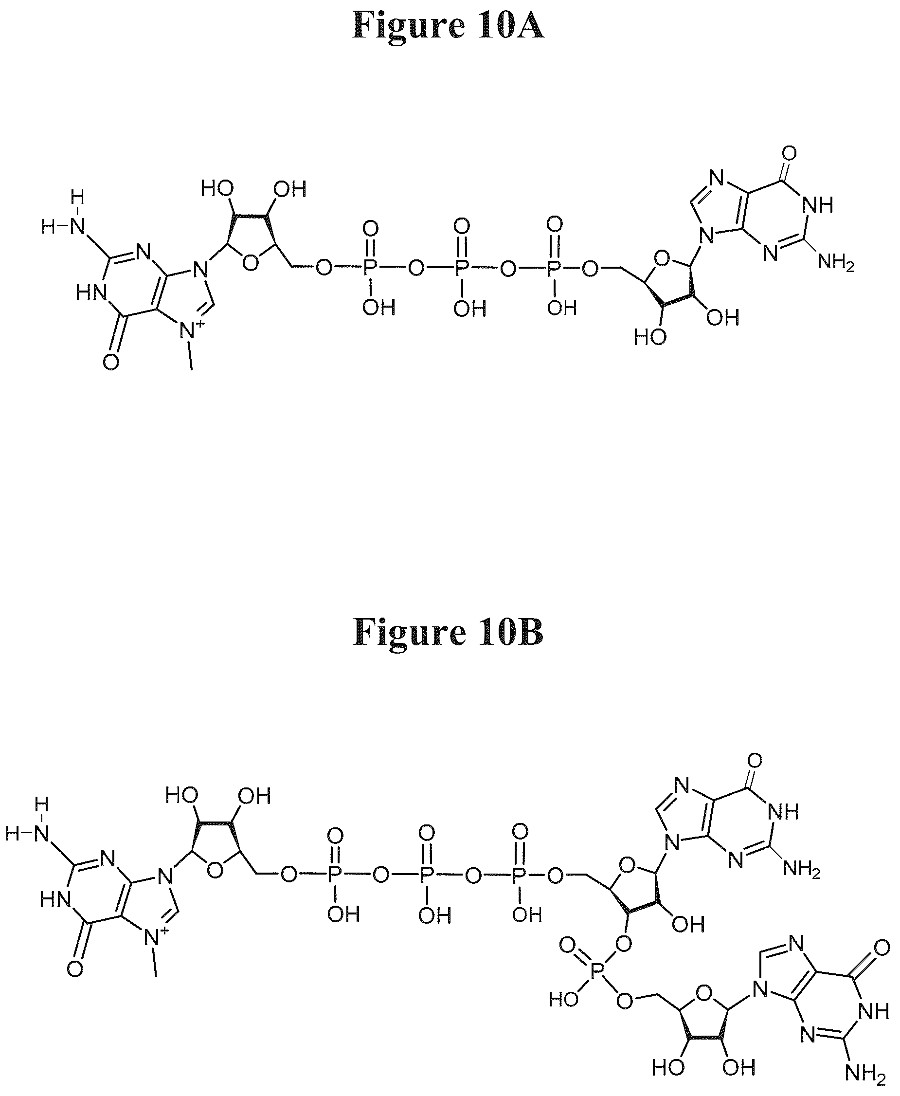 Patent US12103944 Figure 6 – Compositions and methods for synthesizing 5′-capped RNAs