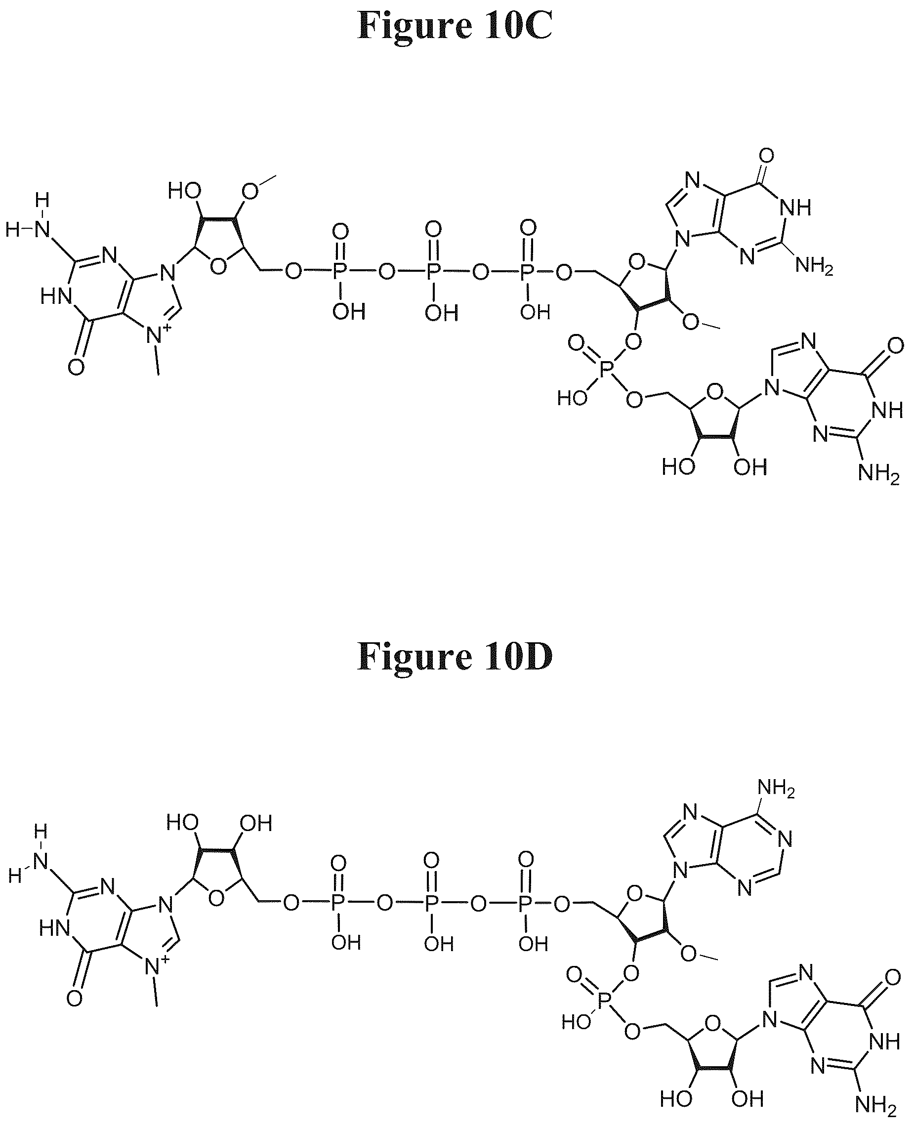 Patent US12103944 Figure 7 – Compositions and methods for synthesizing 5′-capped RNAs